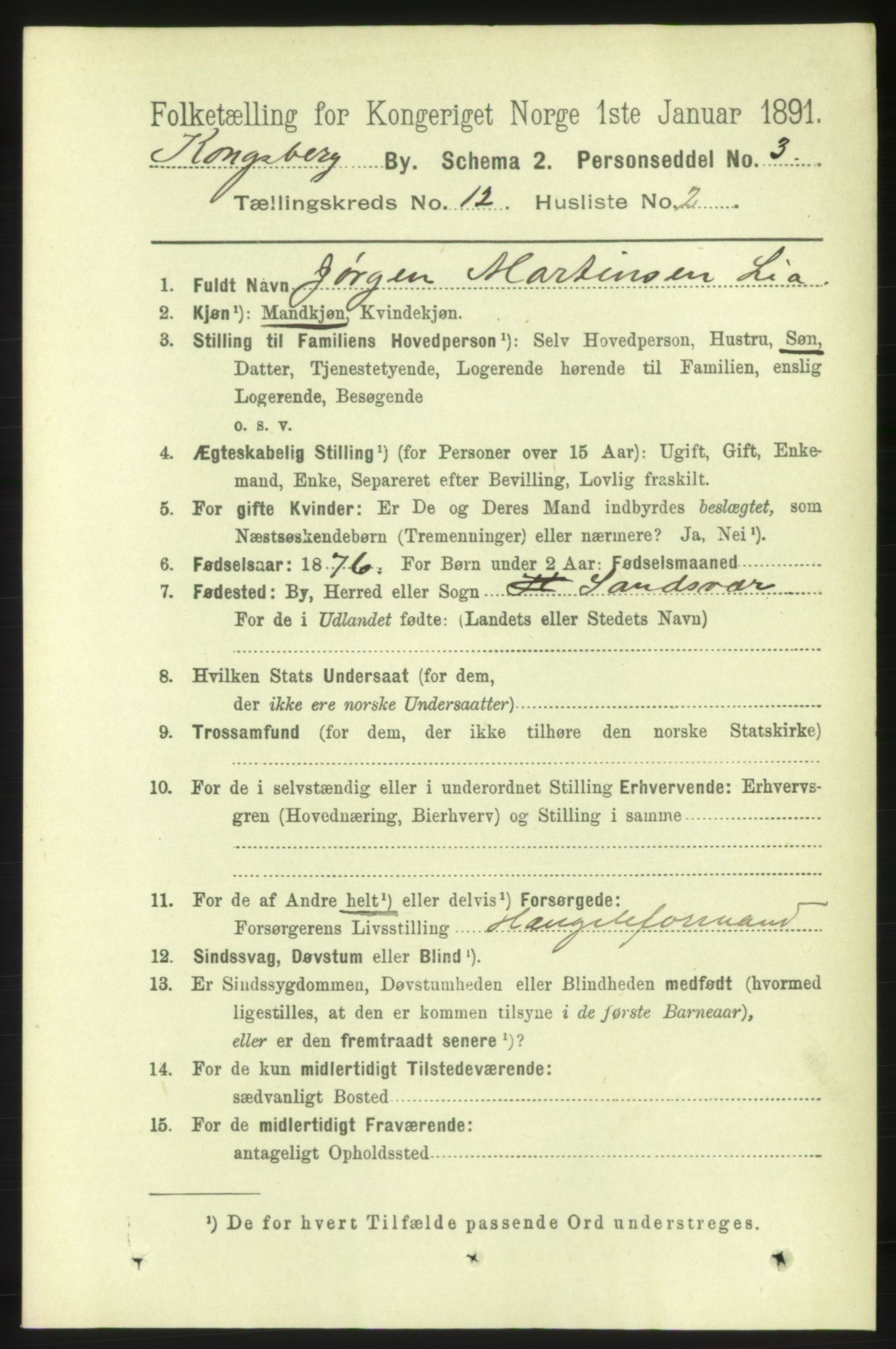 RA, 1891 census for 0604 Kongsberg, 1891, p. 6945