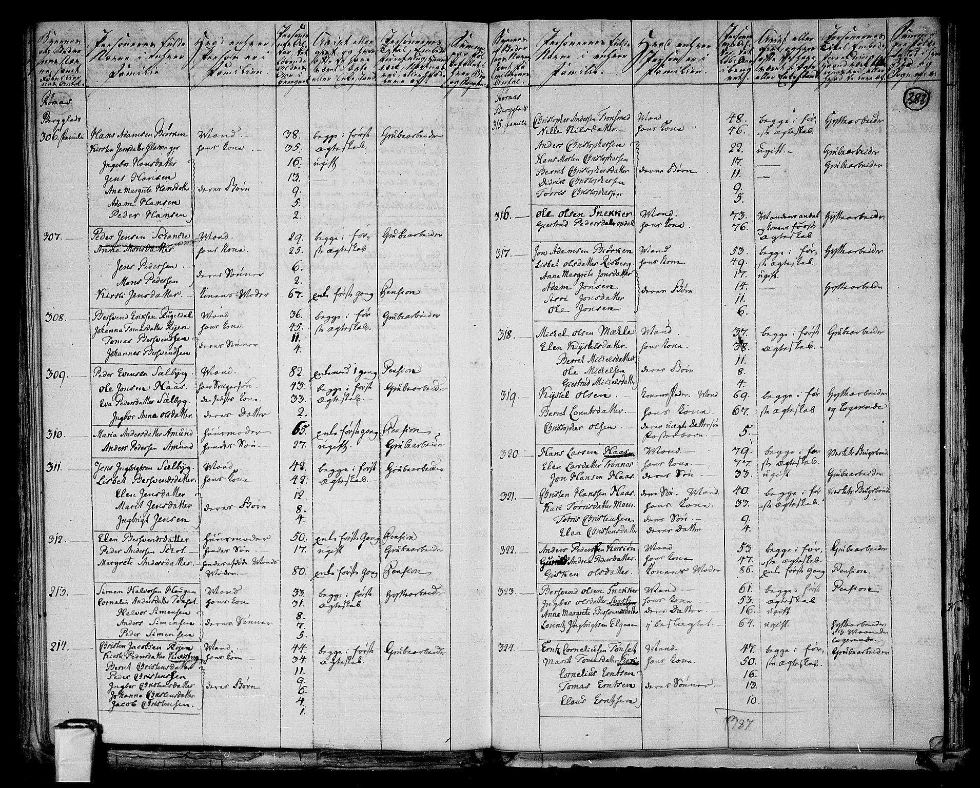 RA, 1801 census for 1640P Røros, 1801, p. 382b-383a