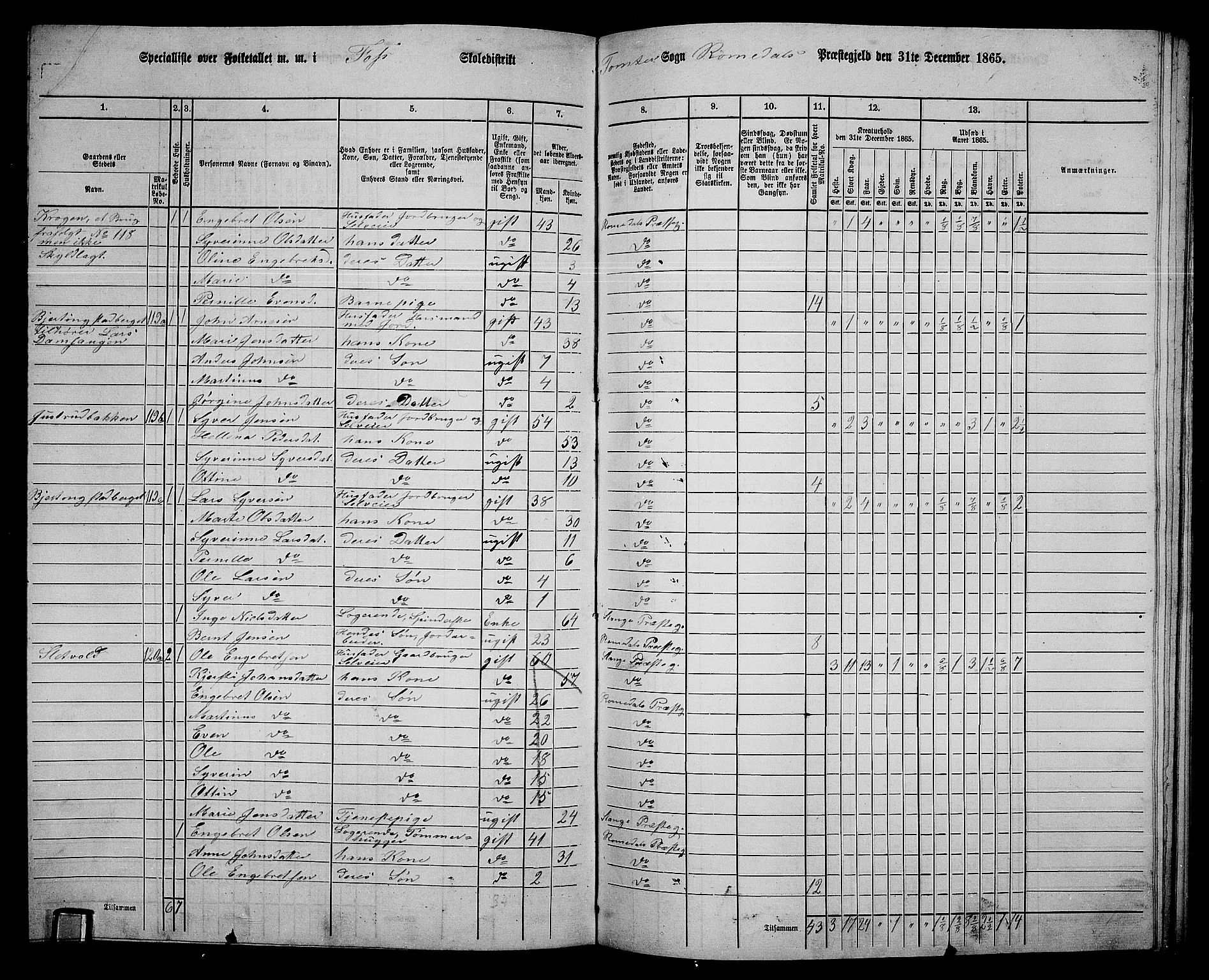 RA, 1865 census for Romedal, 1865, p. 172