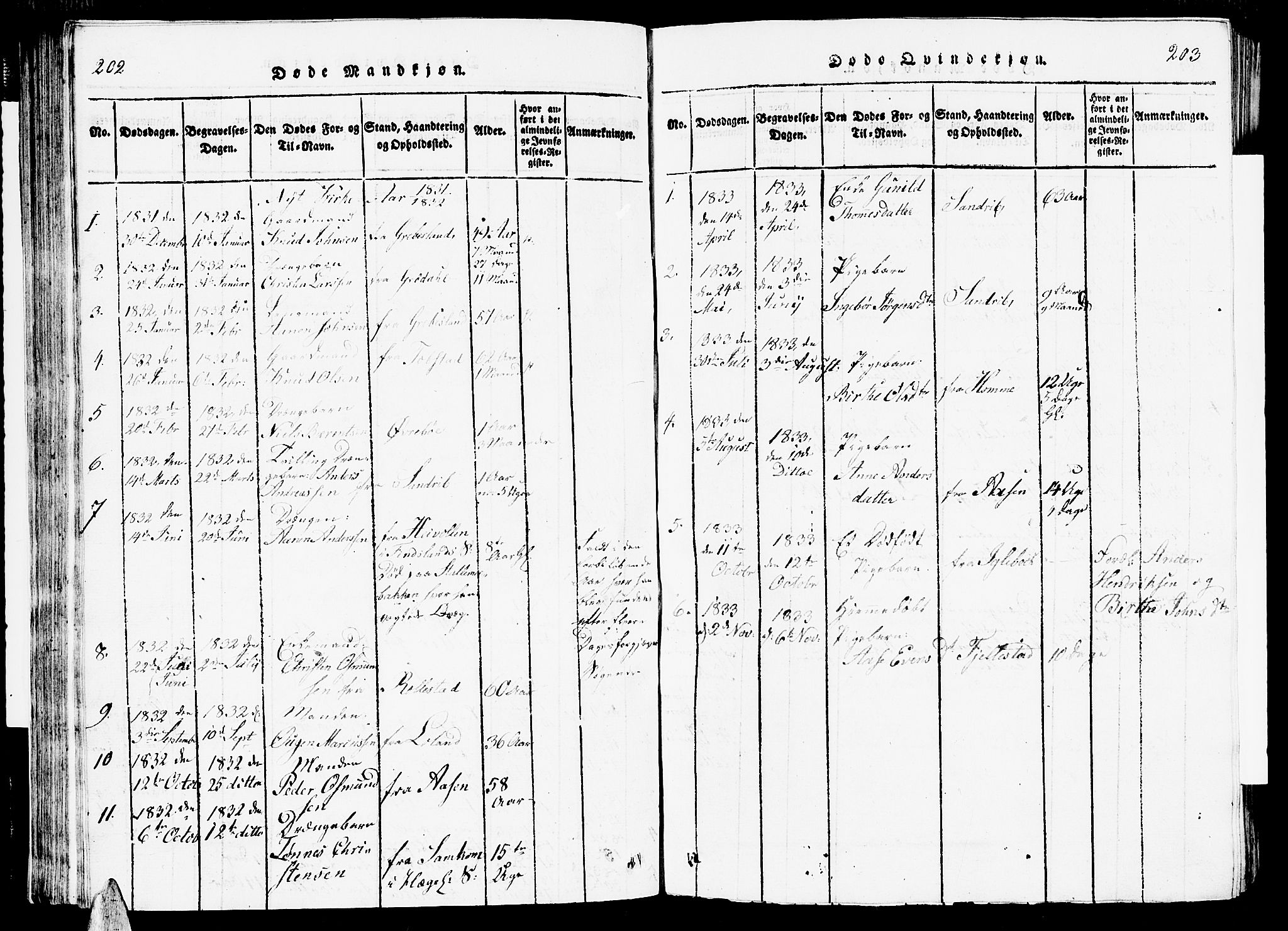 Vennesla sokneprestkontor, AV/SAK-1111-0045/Fb/Fbc/L0001: Parish register (copy) no. B 1, 1820-1834, p. 202-203