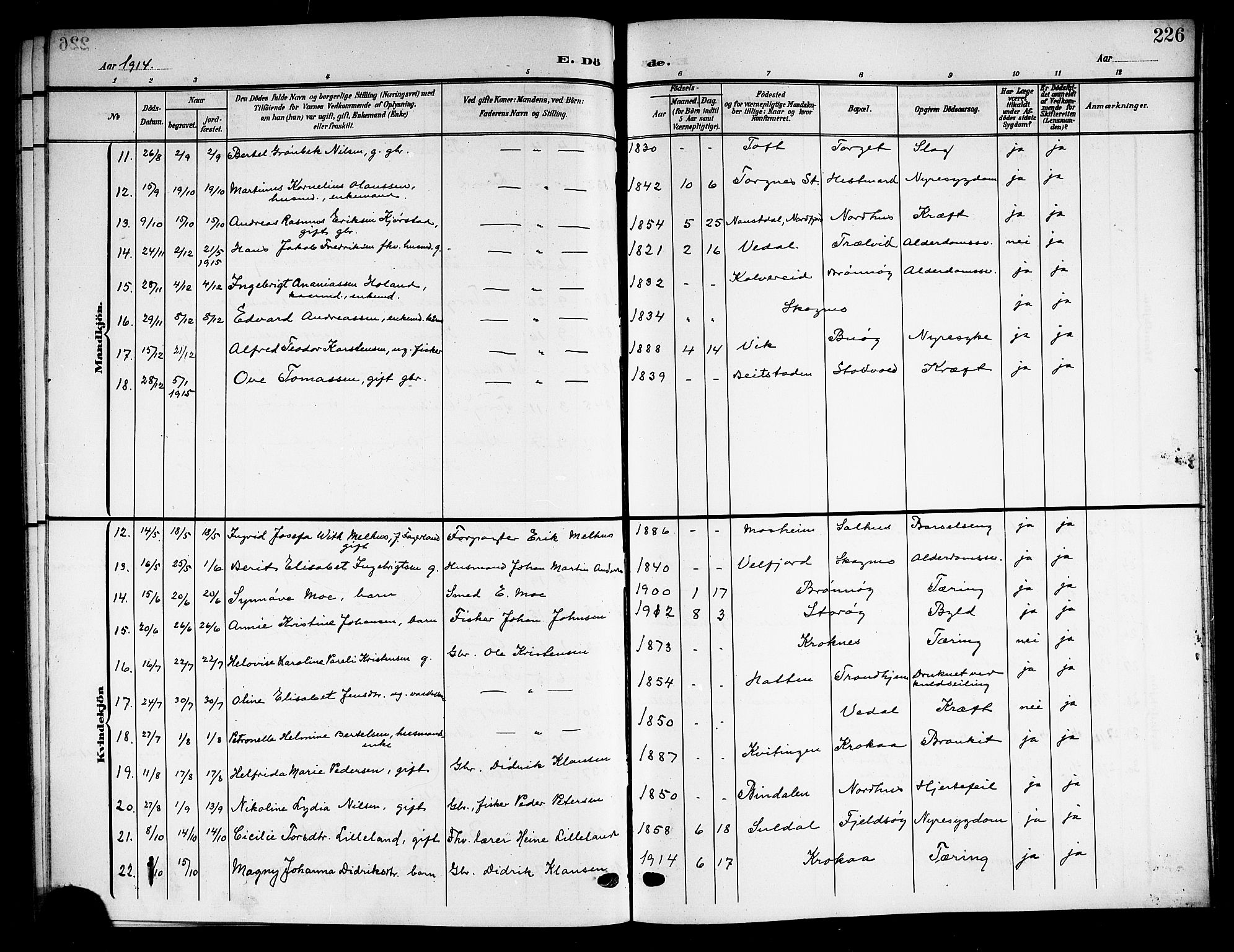 Ministerialprotokoller, klokkerbøker og fødselsregistre - Nordland, SAT/A-1459/813/L0214: Parish register (copy) no. 813C06, 1904-1917, p. 226