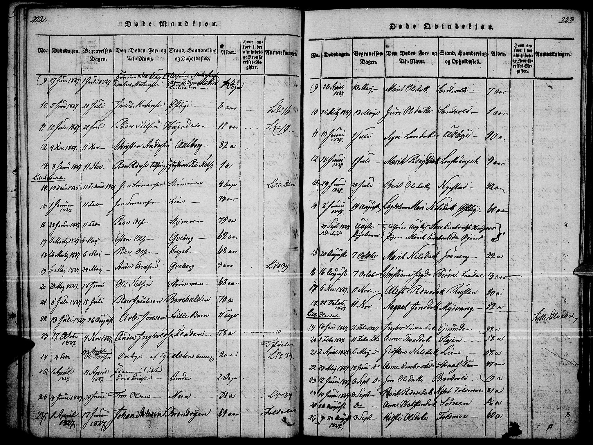 Tynset prestekontor, SAH/PREST-058/H/Ha/Haa/L0018: Parish register (official) no. 18, 1815-1829, p. 222-223