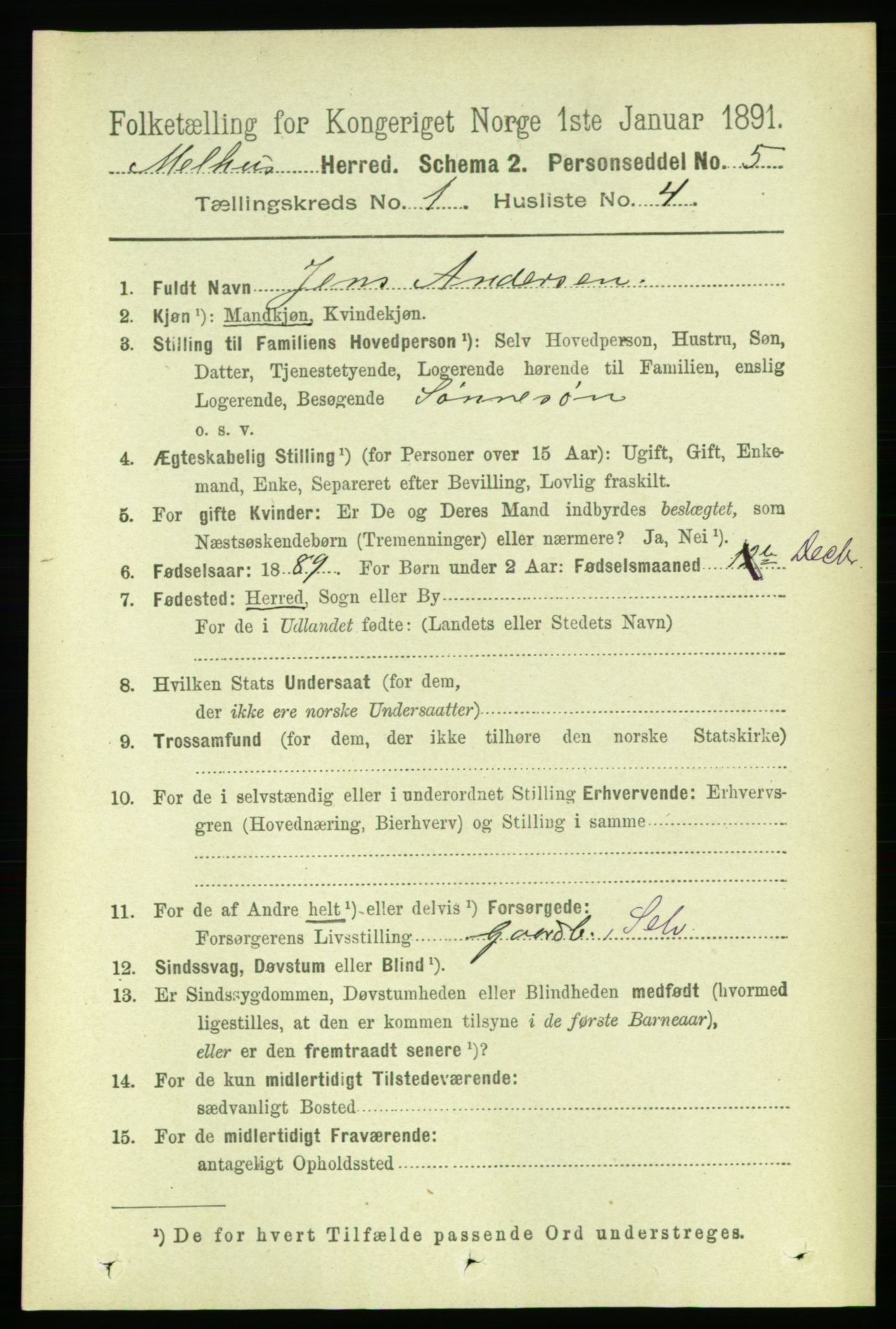 RA, 1891 census for 1653 Melhus, 1891, p. 133