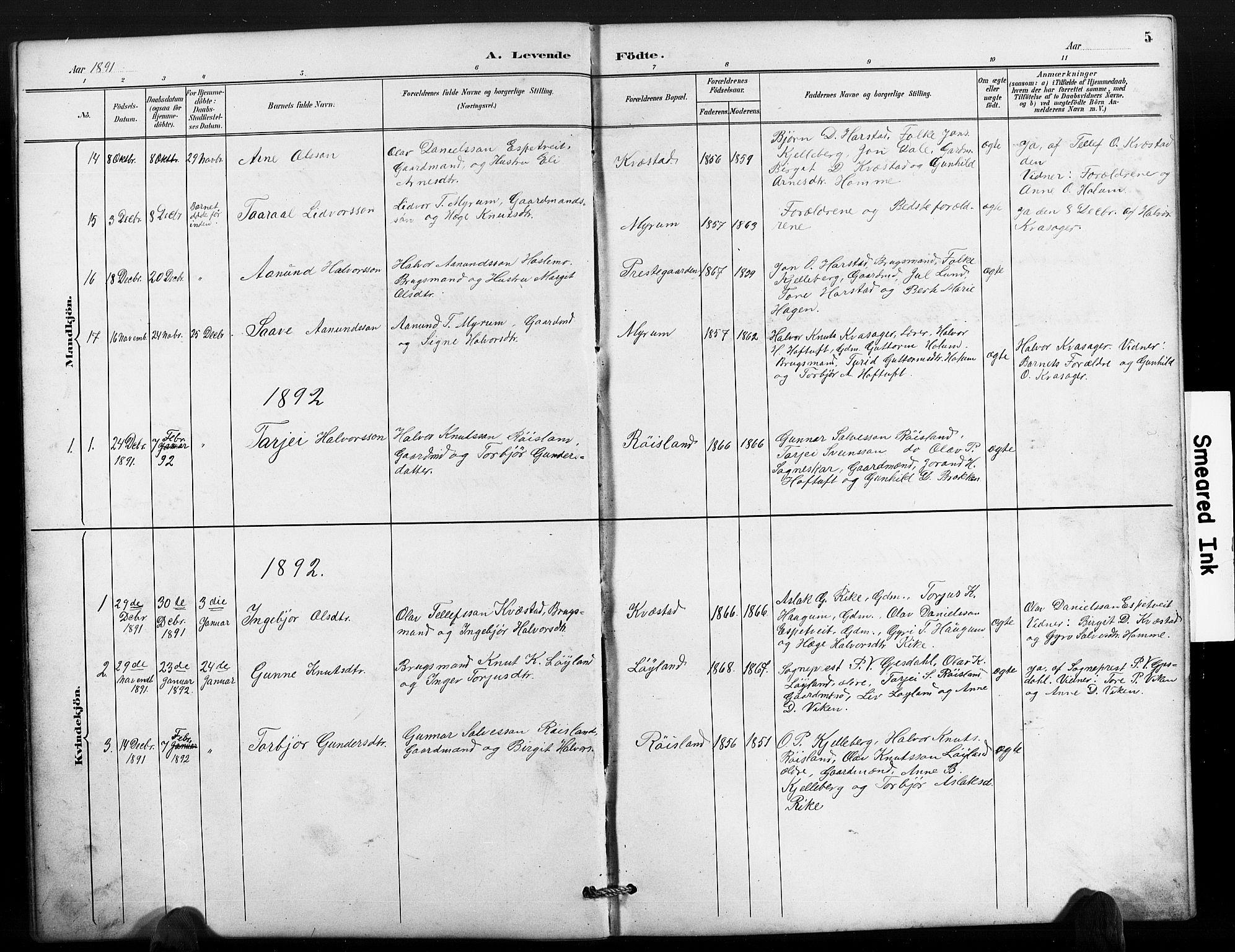 Valle sokneprestkontor, SAK/1111-0044/F/Fb/Fbc/L0004: Parish register (copy) no. B 4, 1890-1928, p. 5