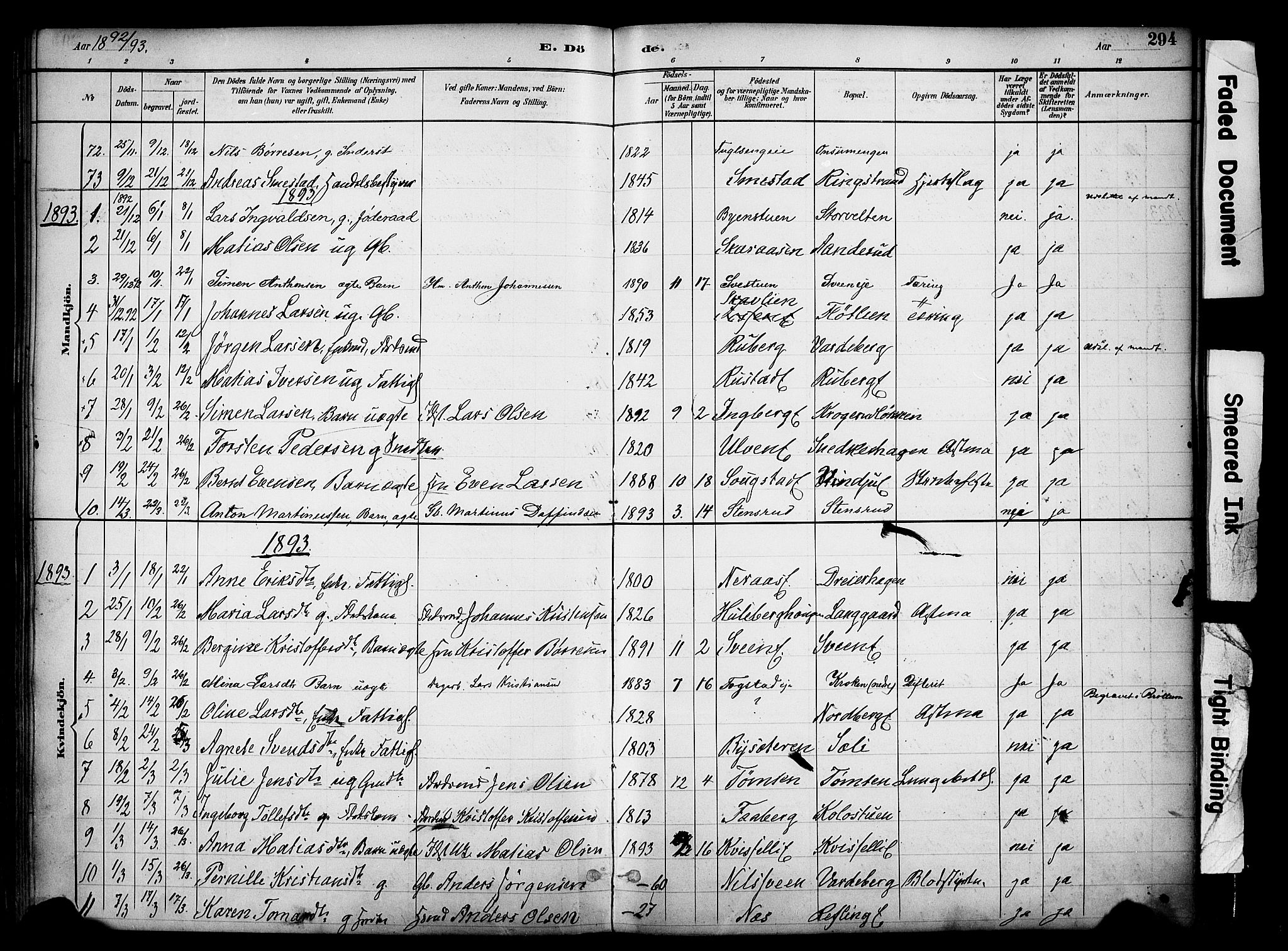 Ringsaker prestekontor, AV/SAH-PREST-014/K/Ka/L0017: Parish register (official) no. 17, 1891-1902, p. 294