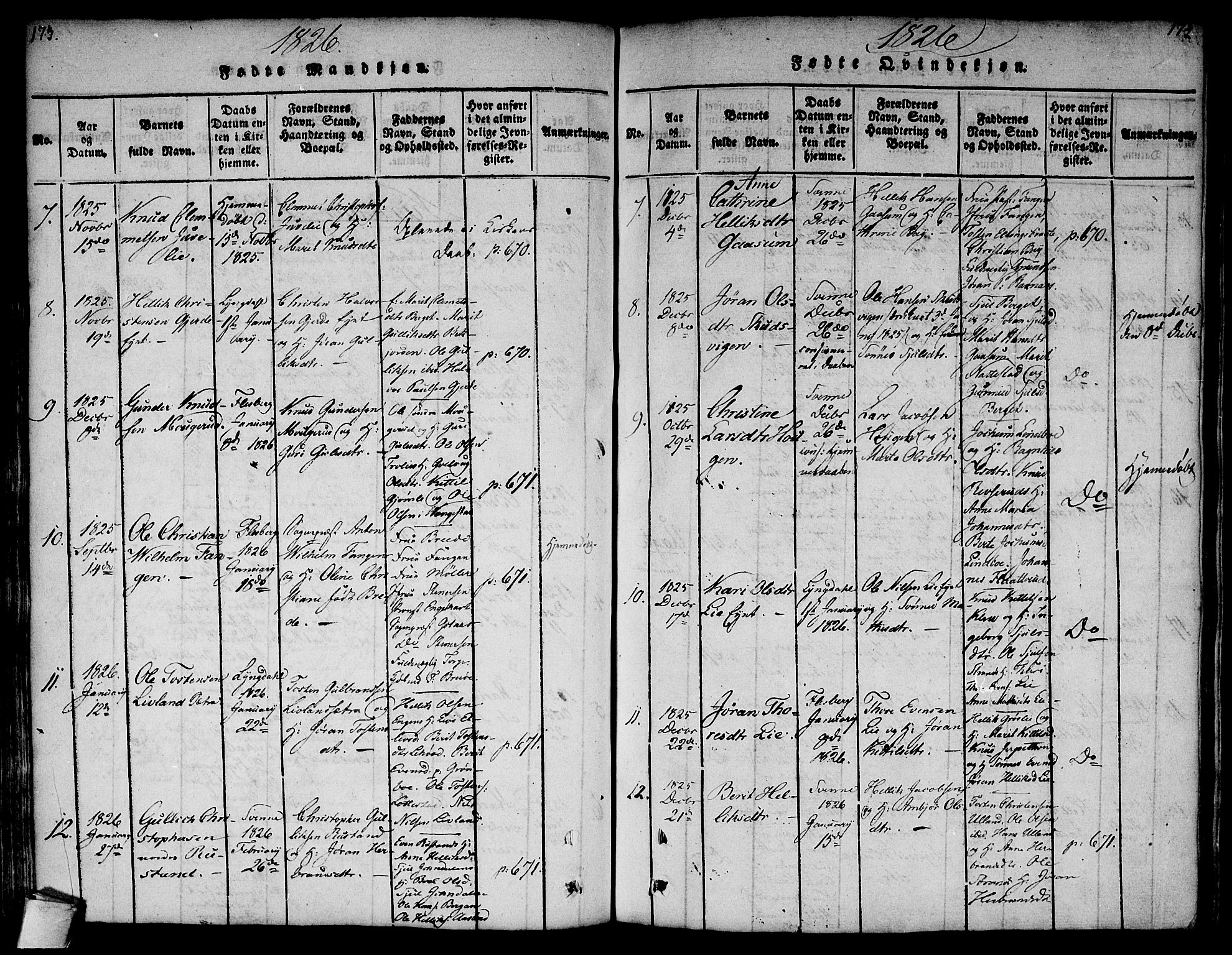 Flesberg kirkebøker, AV/SAKO-A-18/F/Fa/L0005: Parish register (official) no. I 5, 1816-1834, p. 173-174