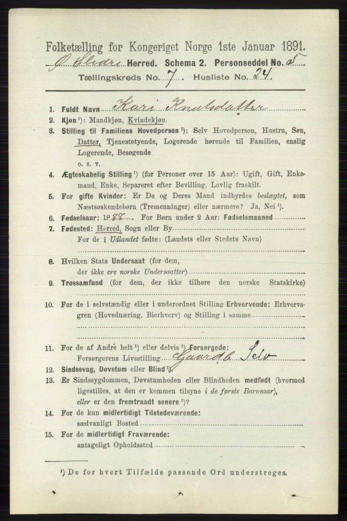RA, 1891 census for 0544 Øystre Slidre, 1891, p. 2301
