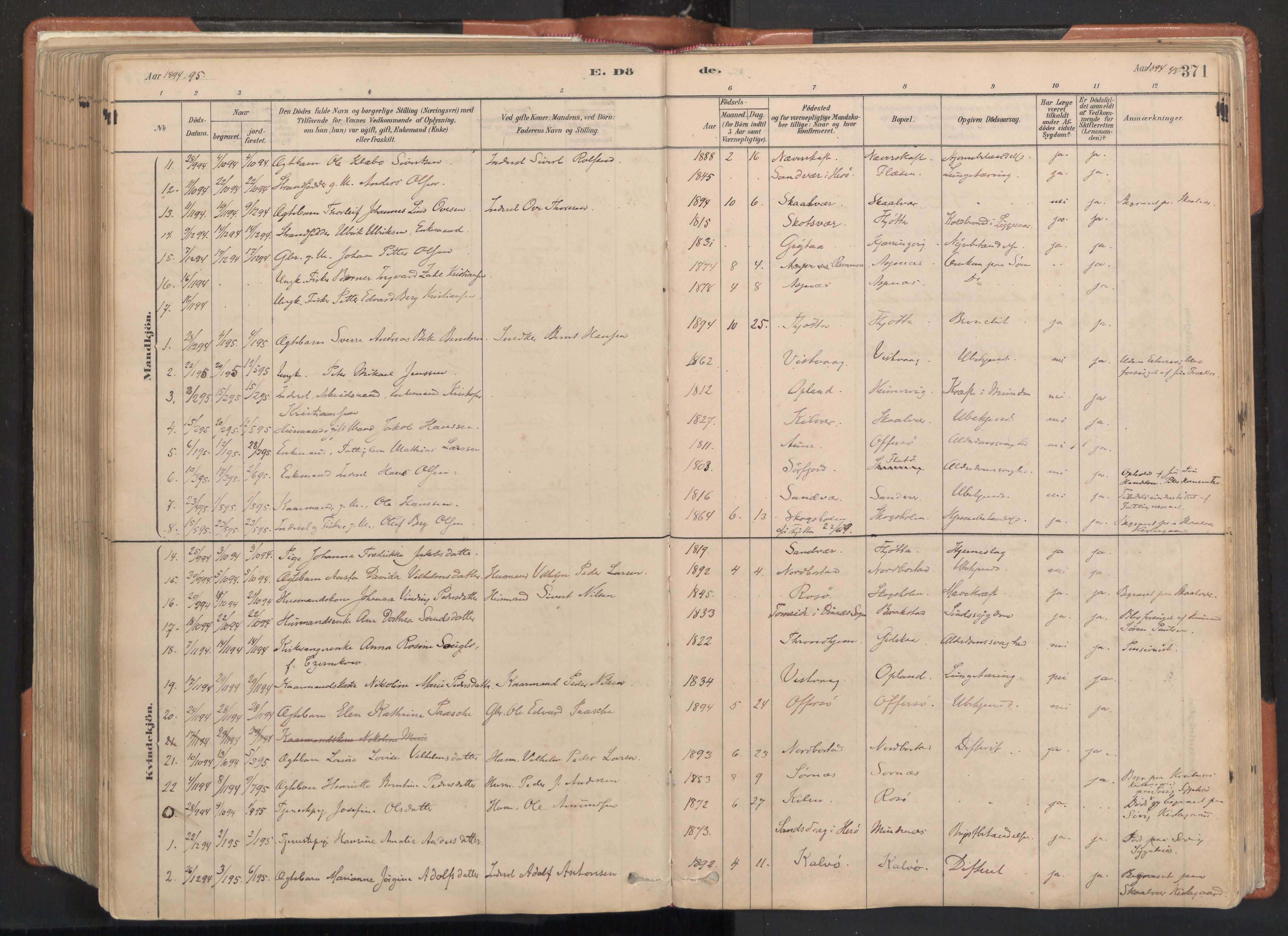 Ministerialprotokoller, klokkerbøker og fødselsregistre - Nordland, SAT/A-1459/817/L0264: Parish register (official) no. 817A04, 1878-1907, p. 371