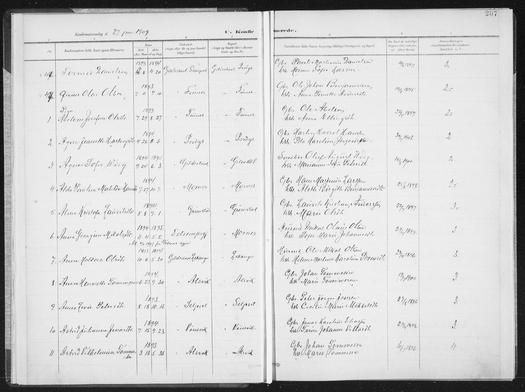 Ministerialprotokoller, klokkerbøker og fødselsregistre - Nordland, AV/SAT-A-1459/805/L0103: Parish register (official) no. 805A08II, 1900-1909, p. 207