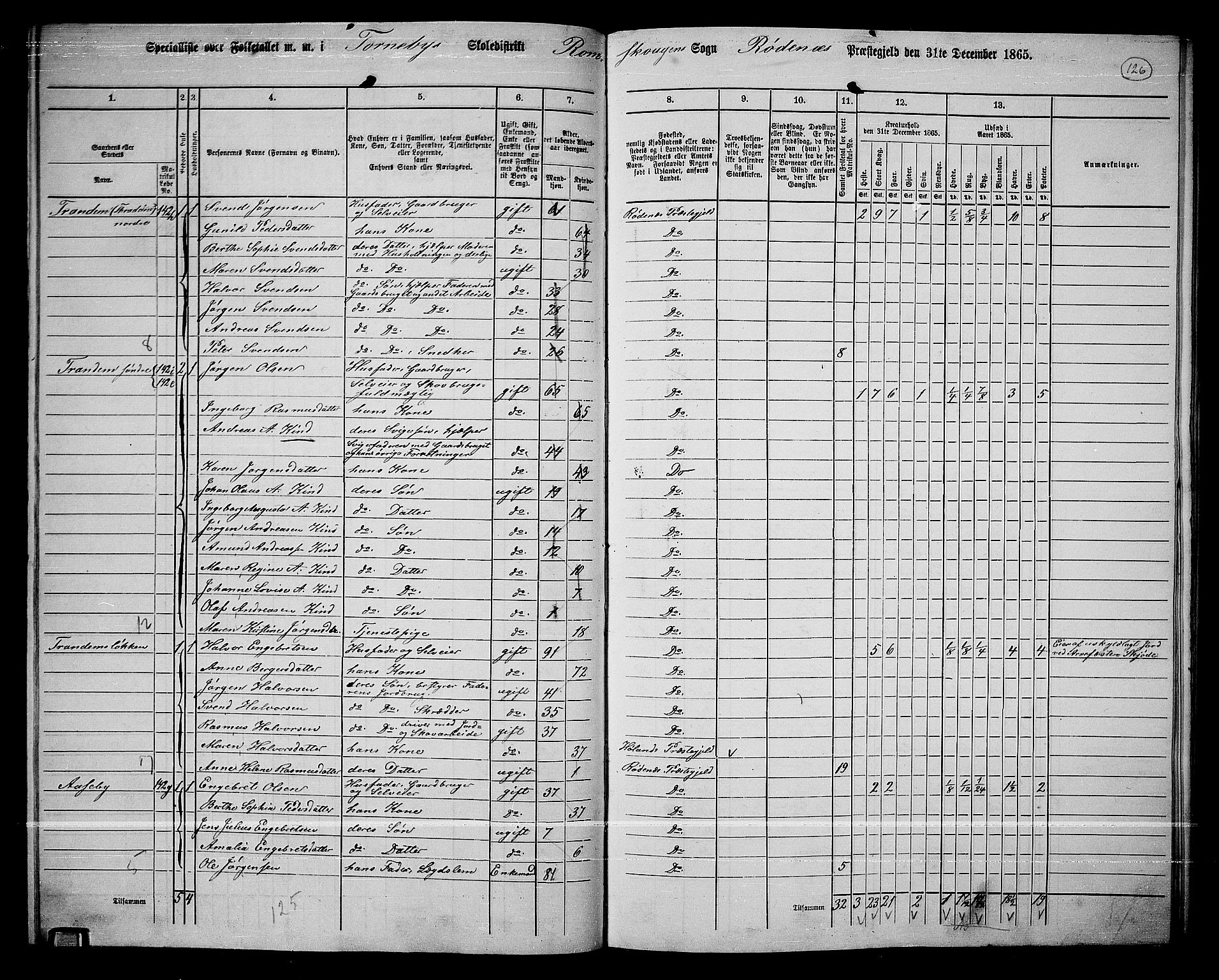 RA, 1865 census for Rødenes, 1865, p. 110