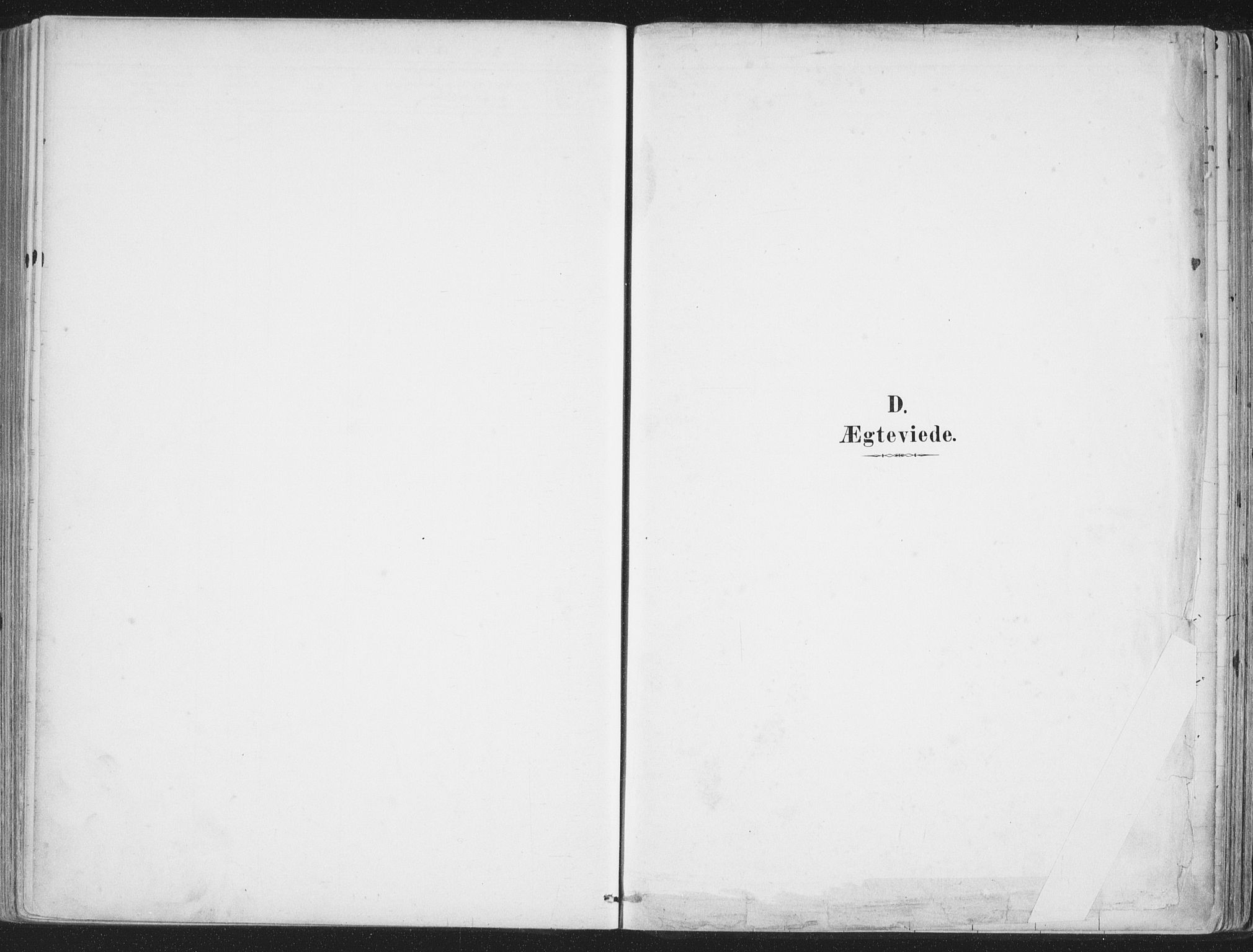 Ministerialprotokoller, klokkerbøker og fødselsregistre - Nordland, SAT/A-1459/888/L1246: Parish register (official) no. 888A12, 1891-1903