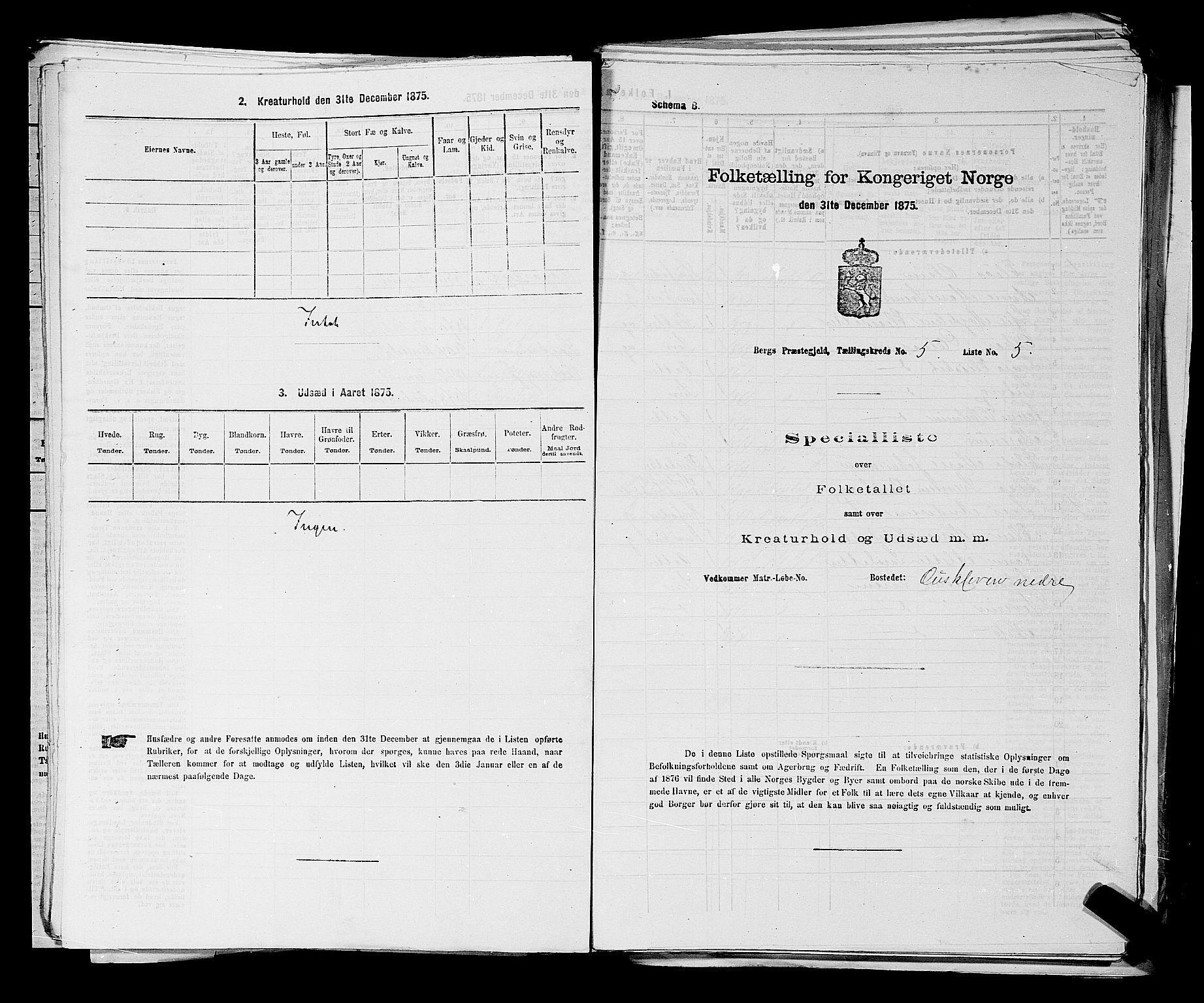 RA, 1875 census for 0116P Berg, 1875, p. 689