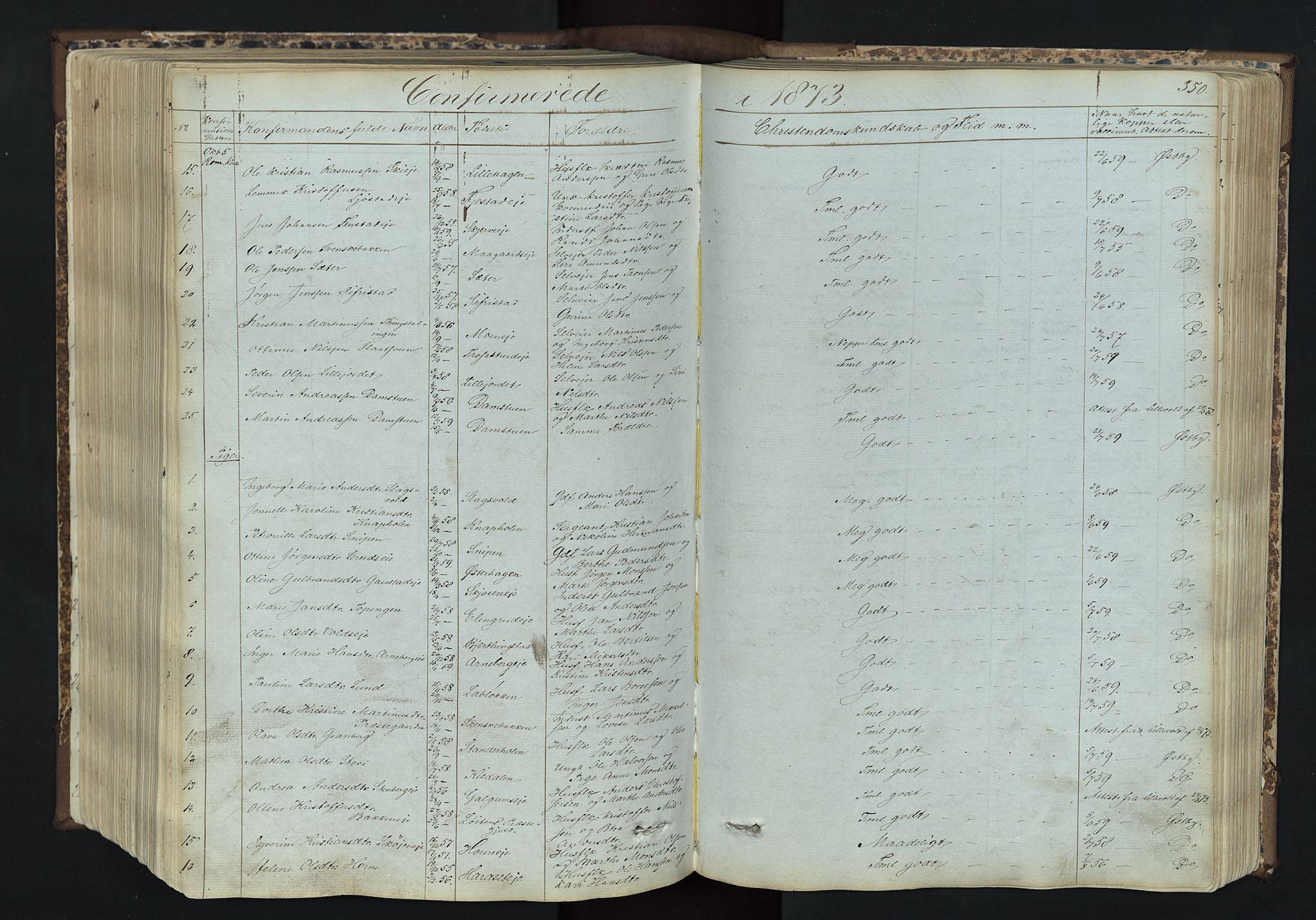 Romedal prestekontor, AV/SAH-PREST-004/L/L0011: Parish register (copy) no. 11, 1867-1895, p. 350