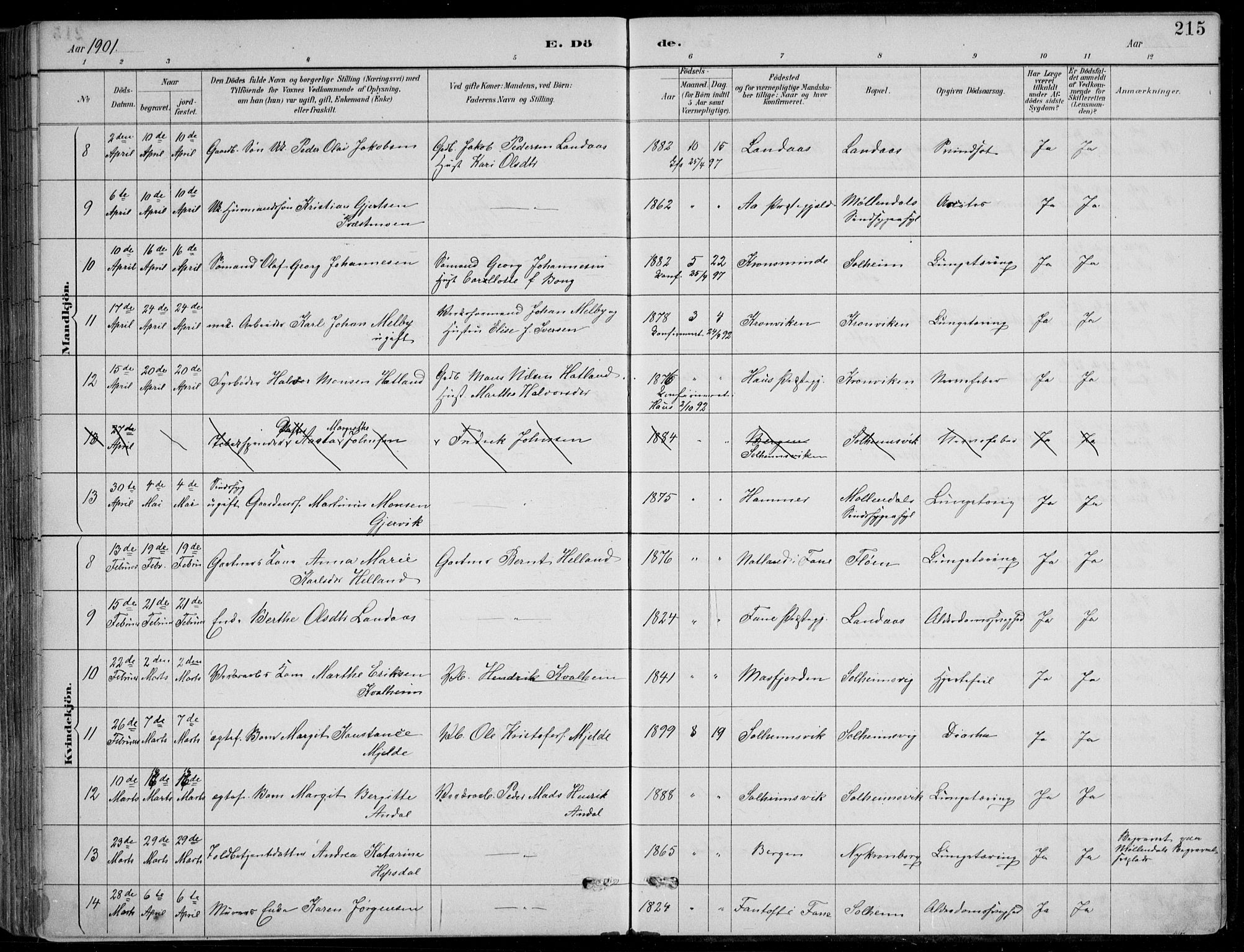 Årstad Sokneprestembete, AV/SAB-A-79301/H/Hab/L0011: Parish register (copy) no. B 1, 1886-1901, p. 215