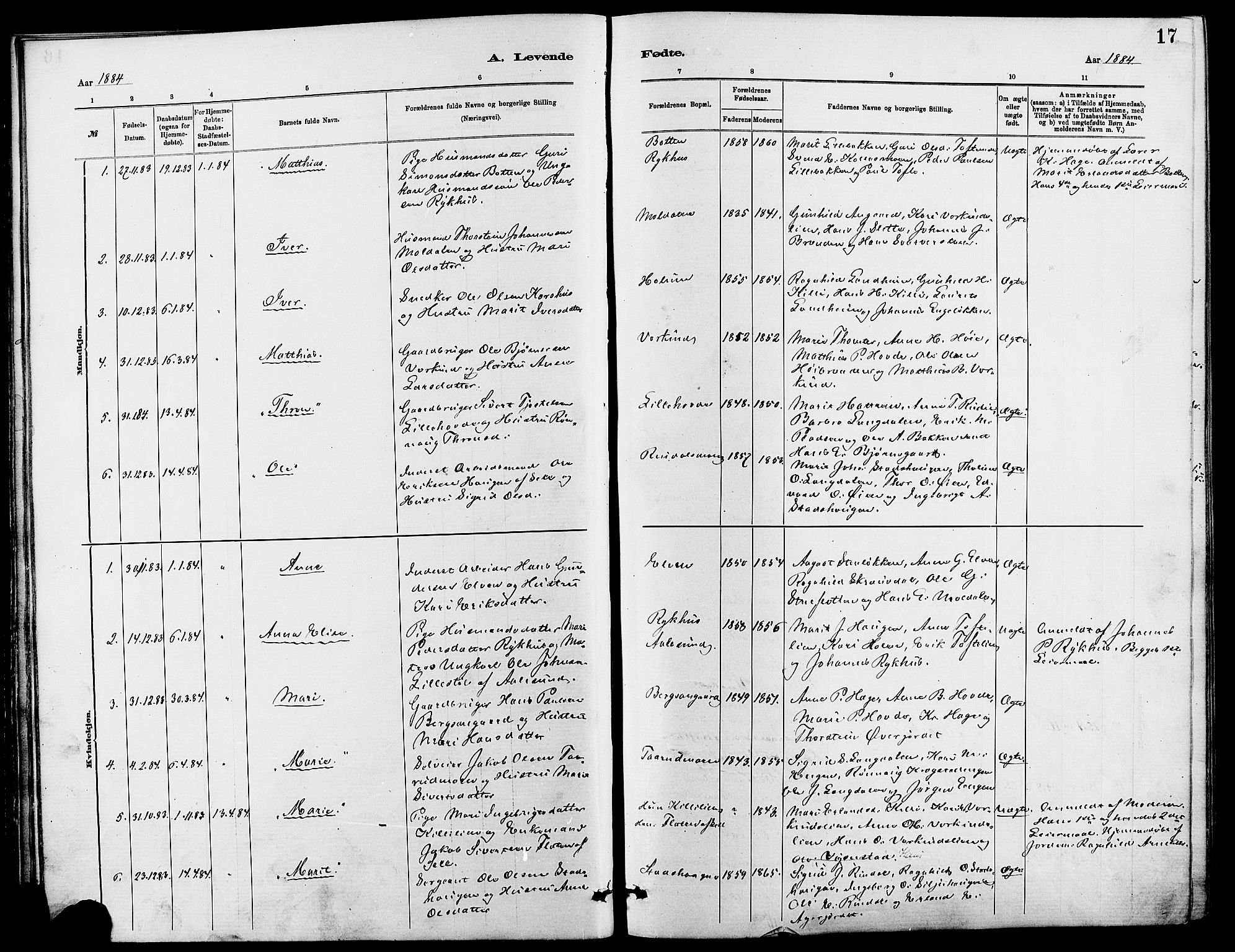 Dovre prestekontor, AV/SAH-PREST-066/H/Ha/Hab/L0002: Parish register (copy) no. 2, 1881-1907, p. 17