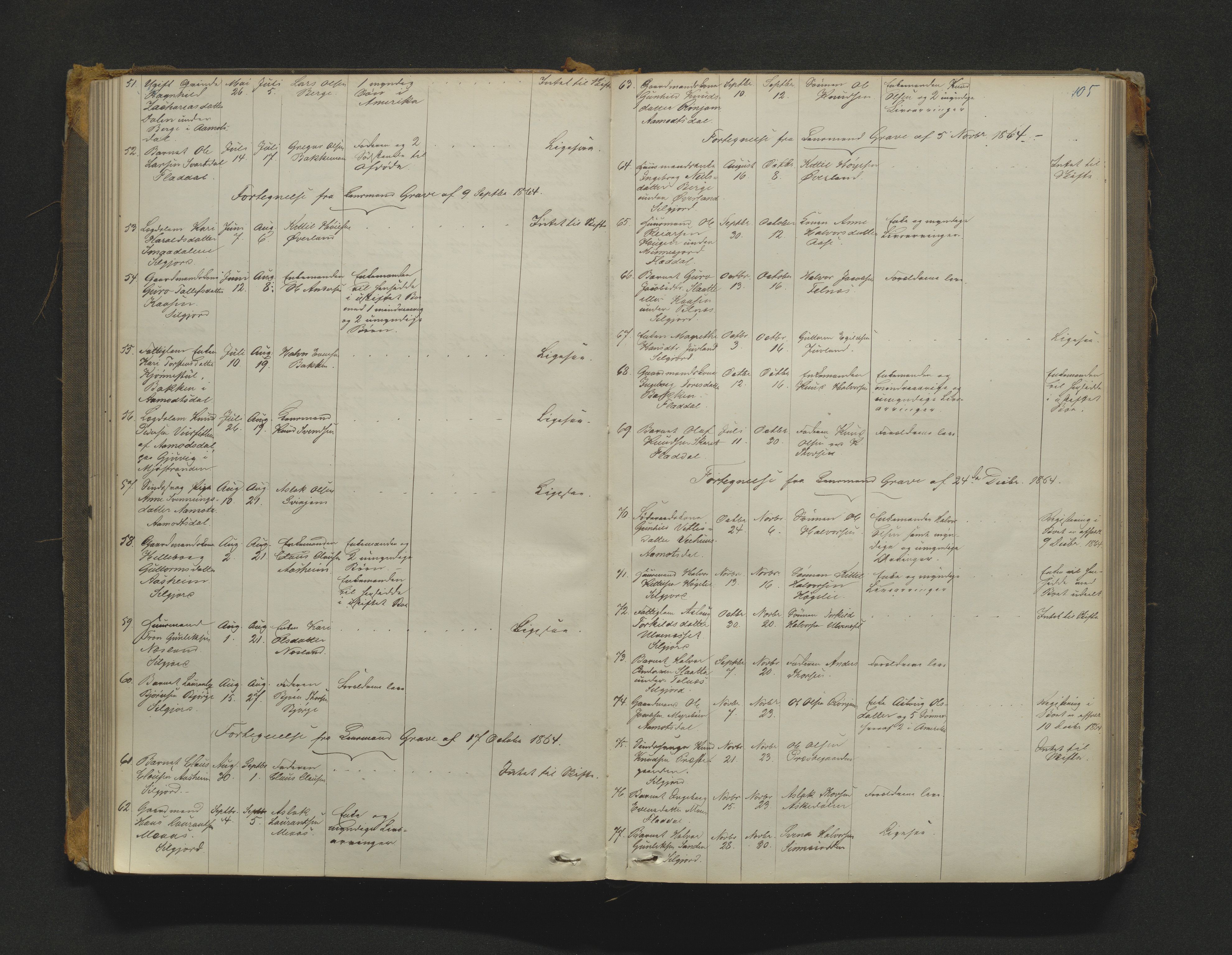 Øvre Telemark østfjelske sorenskriveri, AV/SAKO-A-213/H/Ha/Haa/L0001: Dødsanmeldelsesprotokoll, 1862-1899, p. 105