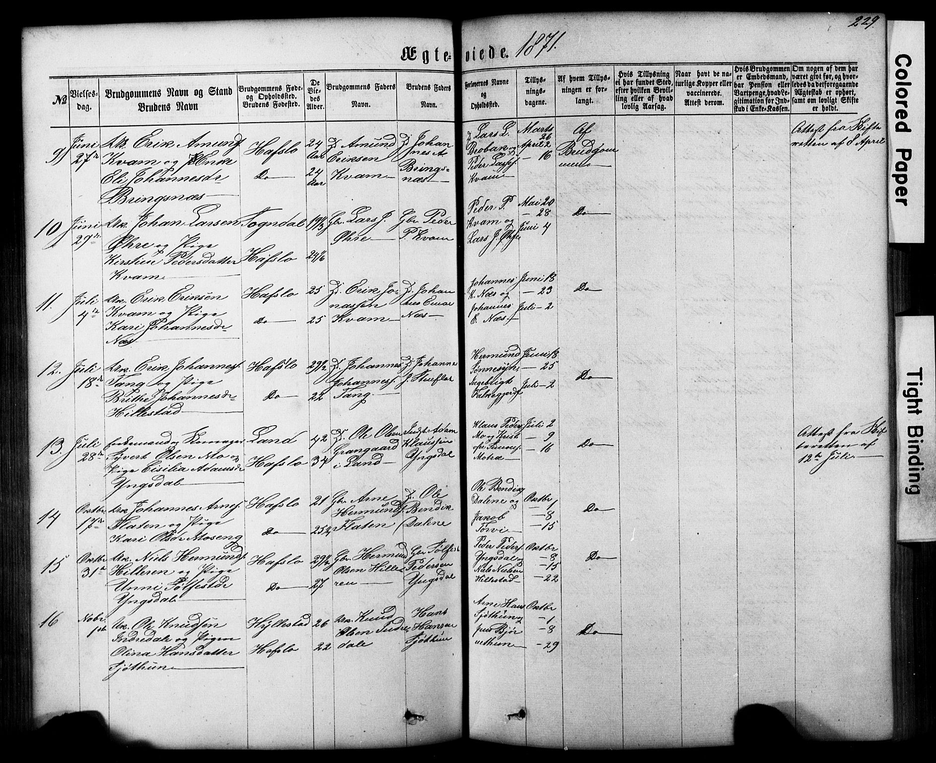 Hafslo sokneprestembete, AV/SAB-A-80301/H/Hab/Haba/L0001: Parish register (copy) no. A 1, 1866-1908, p. 229