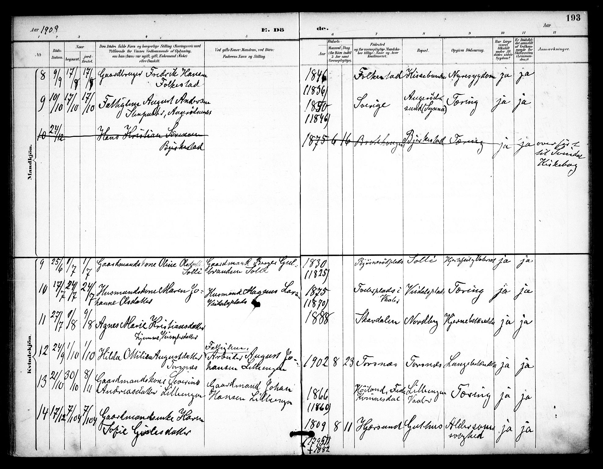 Våler prestekontor Kirkebøker, AV/SAO-A-11083/F/Fa/L0011: Parish register (official) no. I 11, 1893-1909, p. 193