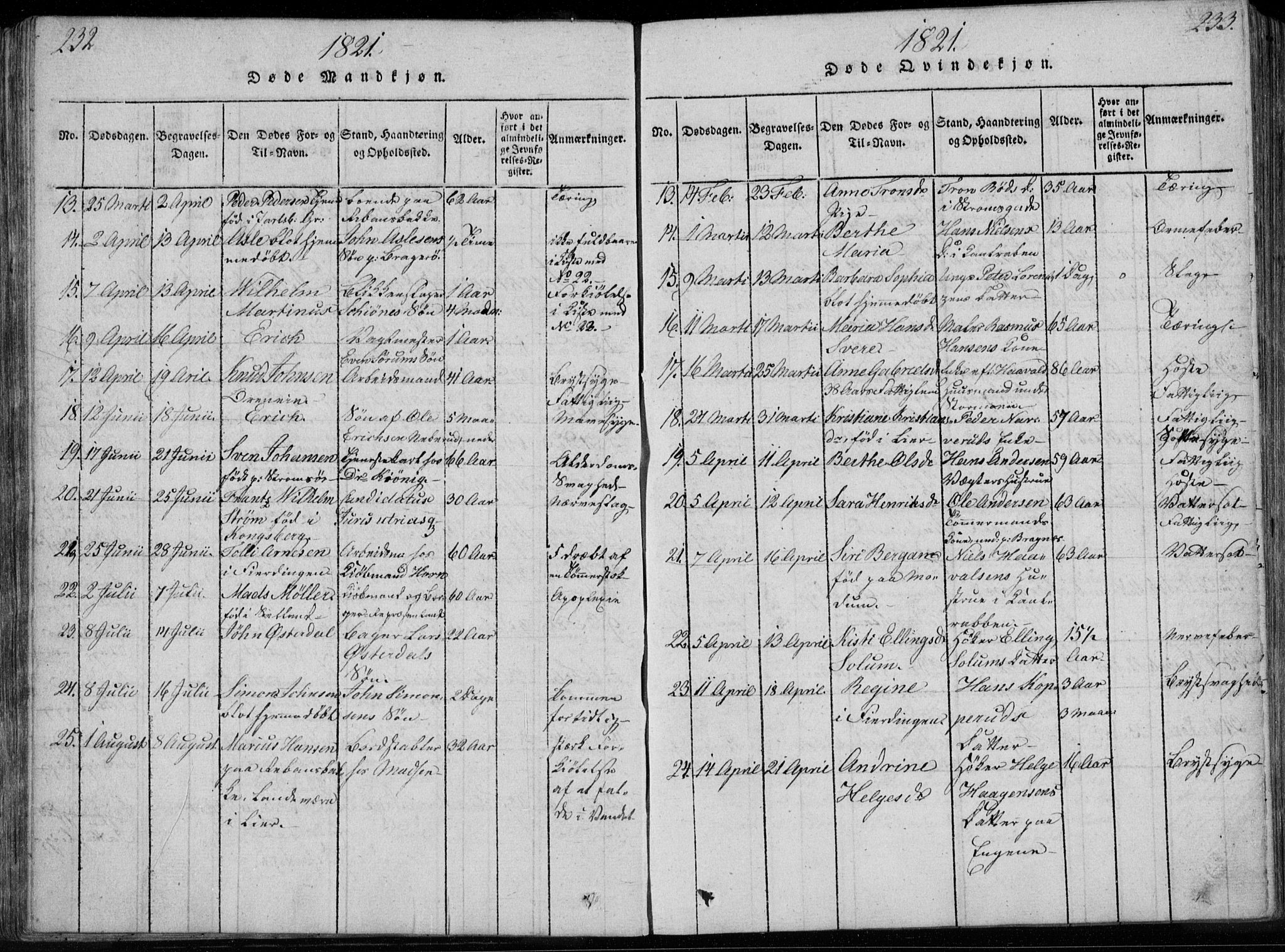 Bragernes kirkebøker, AV/SAKO-A-6/F/Fa/L0007: Parish register (official) no. I 7, 1815-1829, p. 232-233