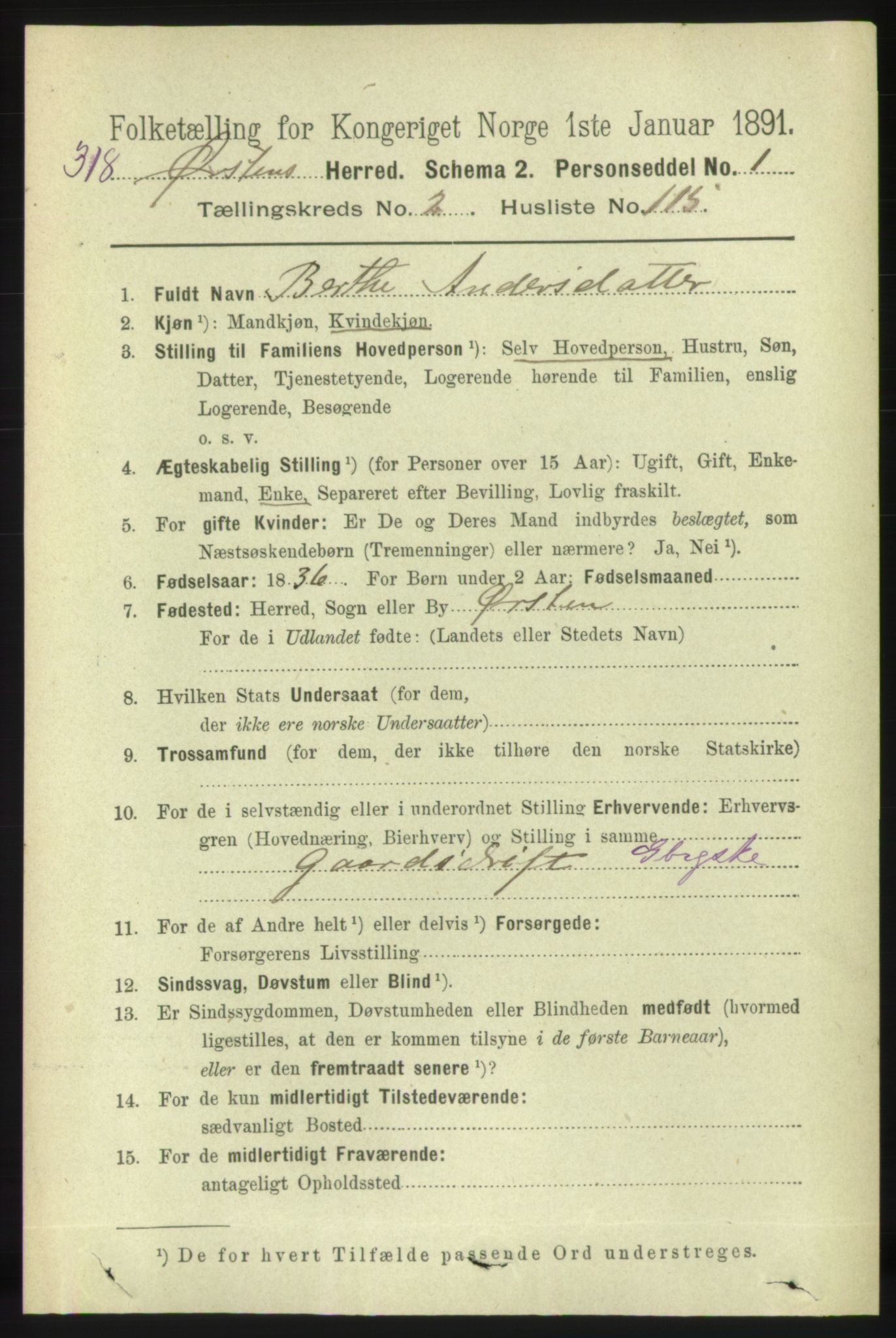 RA, 1891 census for 1520 Ørsta, 1891, p. 1143