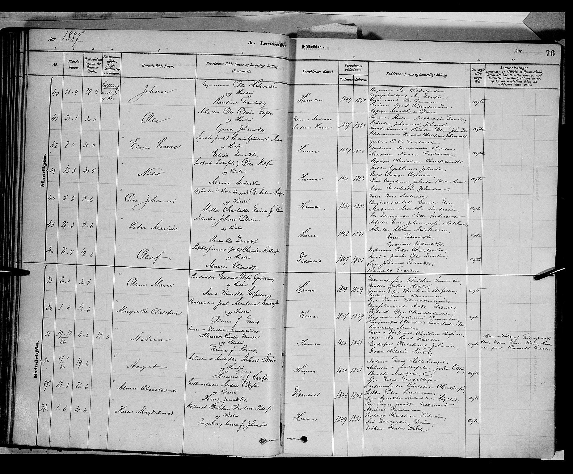 Vang prestekontor, Hedmark, AV/SAH-PREST-008/H/Ha/Haa/L0016: Parish register (official) no. 16, 1878-1889, p. 76