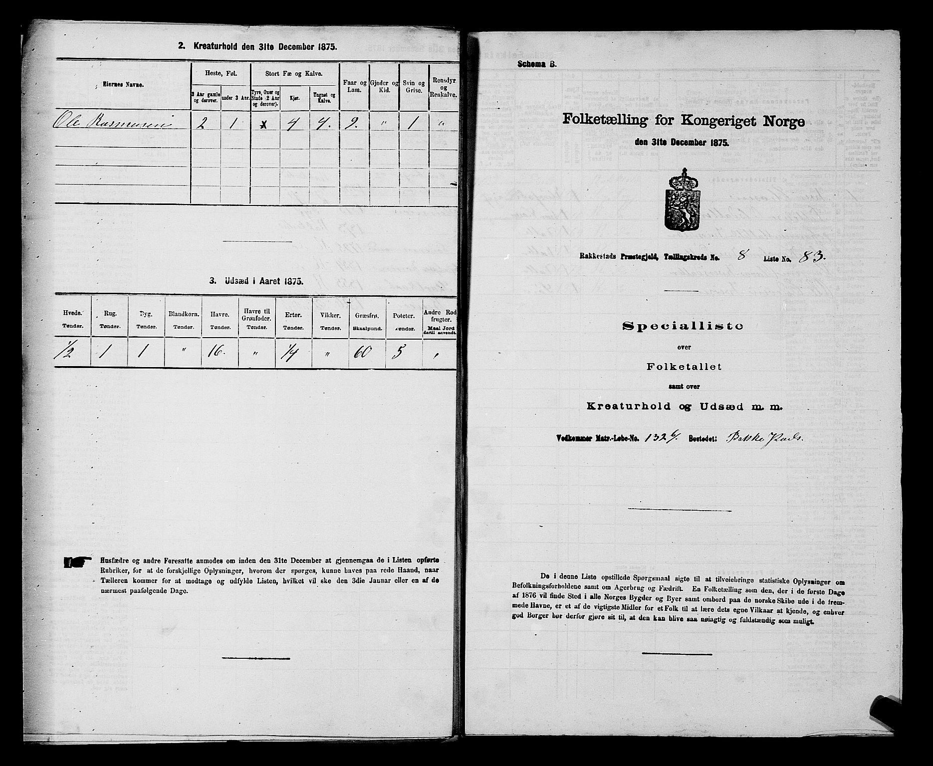 RA, 1875 census for 0128P Rakkestad, 1875, p. 1097