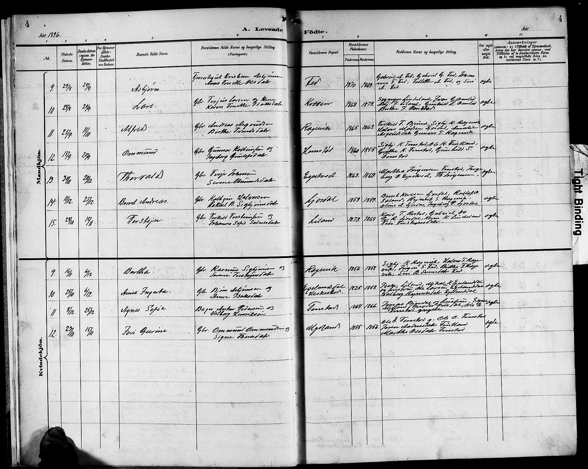 Sirdal sokneprestkontor, SAK/1111-0036/F/Fb/Fbb/L0004: Parish register (copy) no. B 4, 1895-1916, p. 4