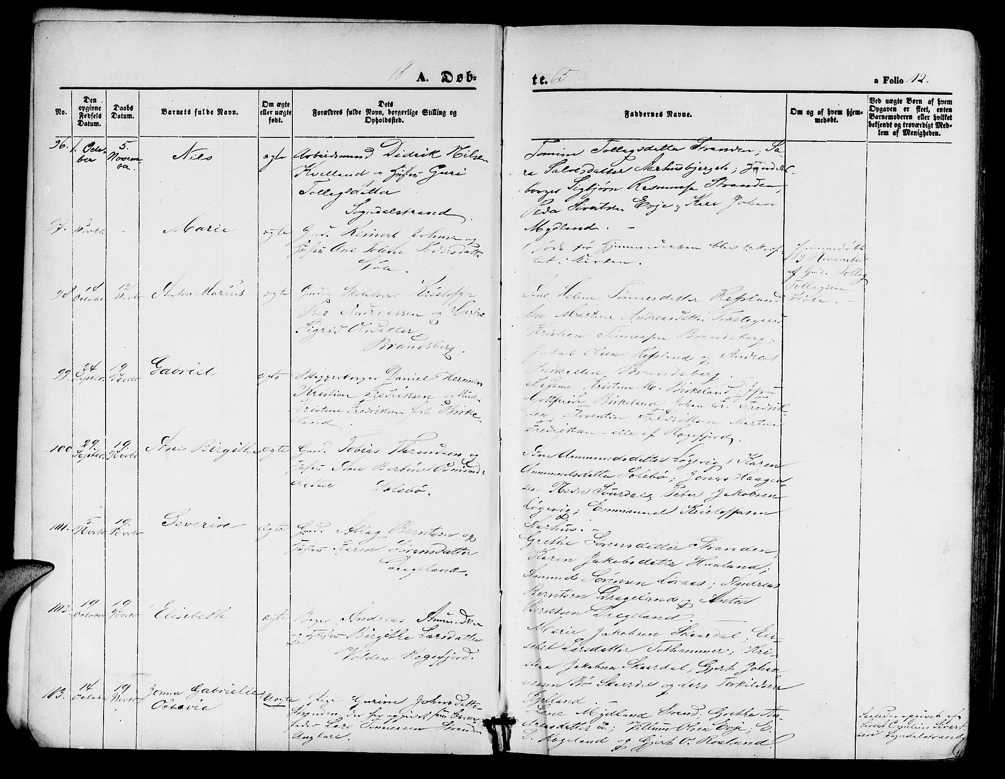 Sokndal sokneprestkontor, AV/SAST-A-101808: Parish register (copy) no. B 3, 1865-1879, p. 12