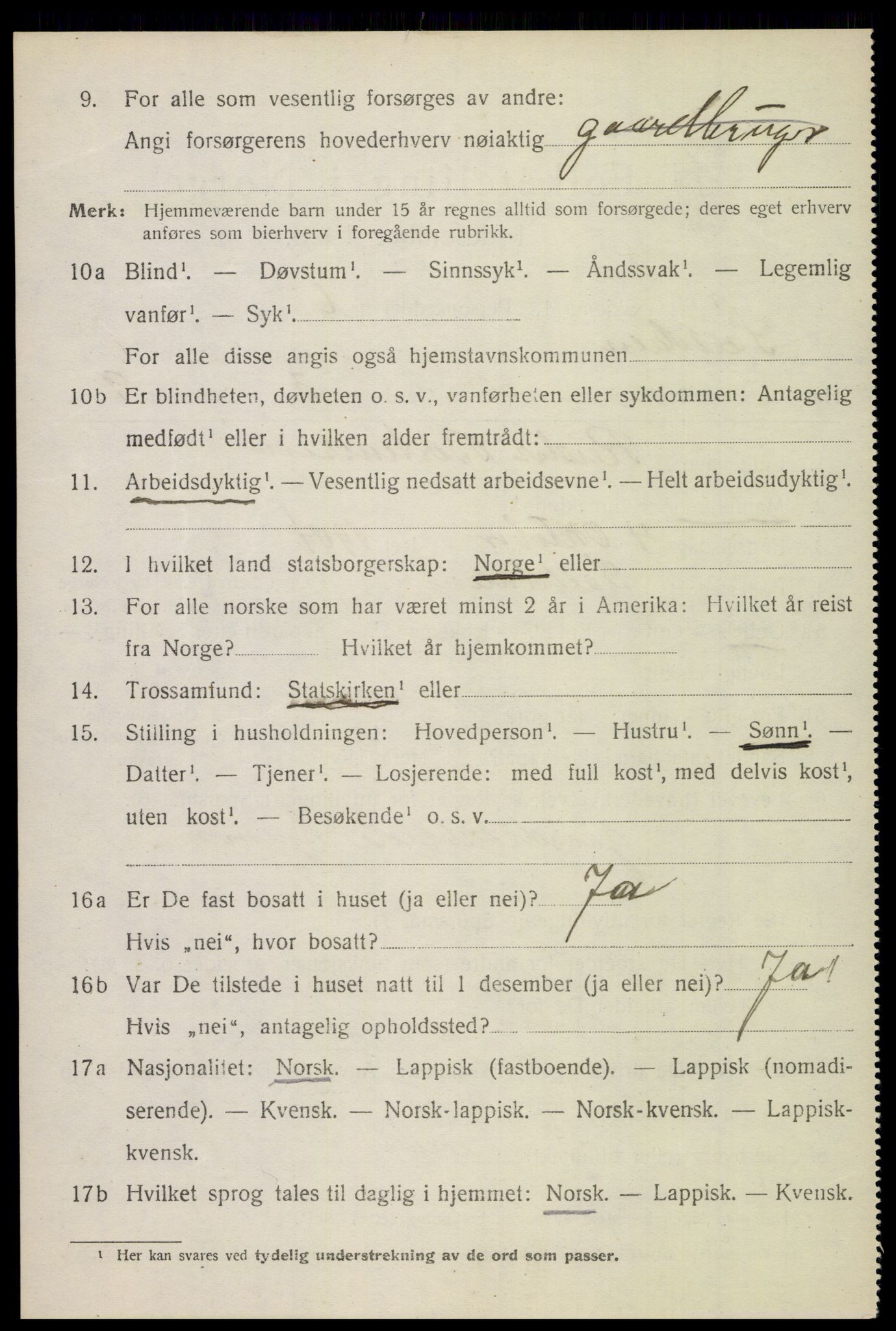 SAT, 1920 census for Saltdal, 1920, p. 1724