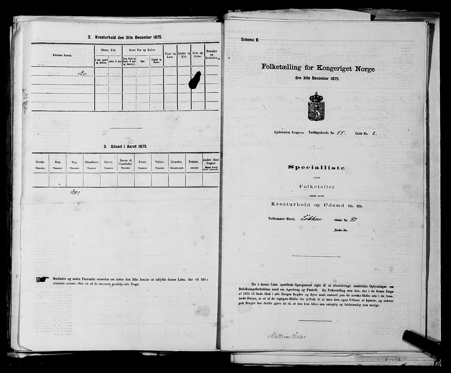 SAKO, 1875 census for 0801P Kragerø, 1875, p. 991