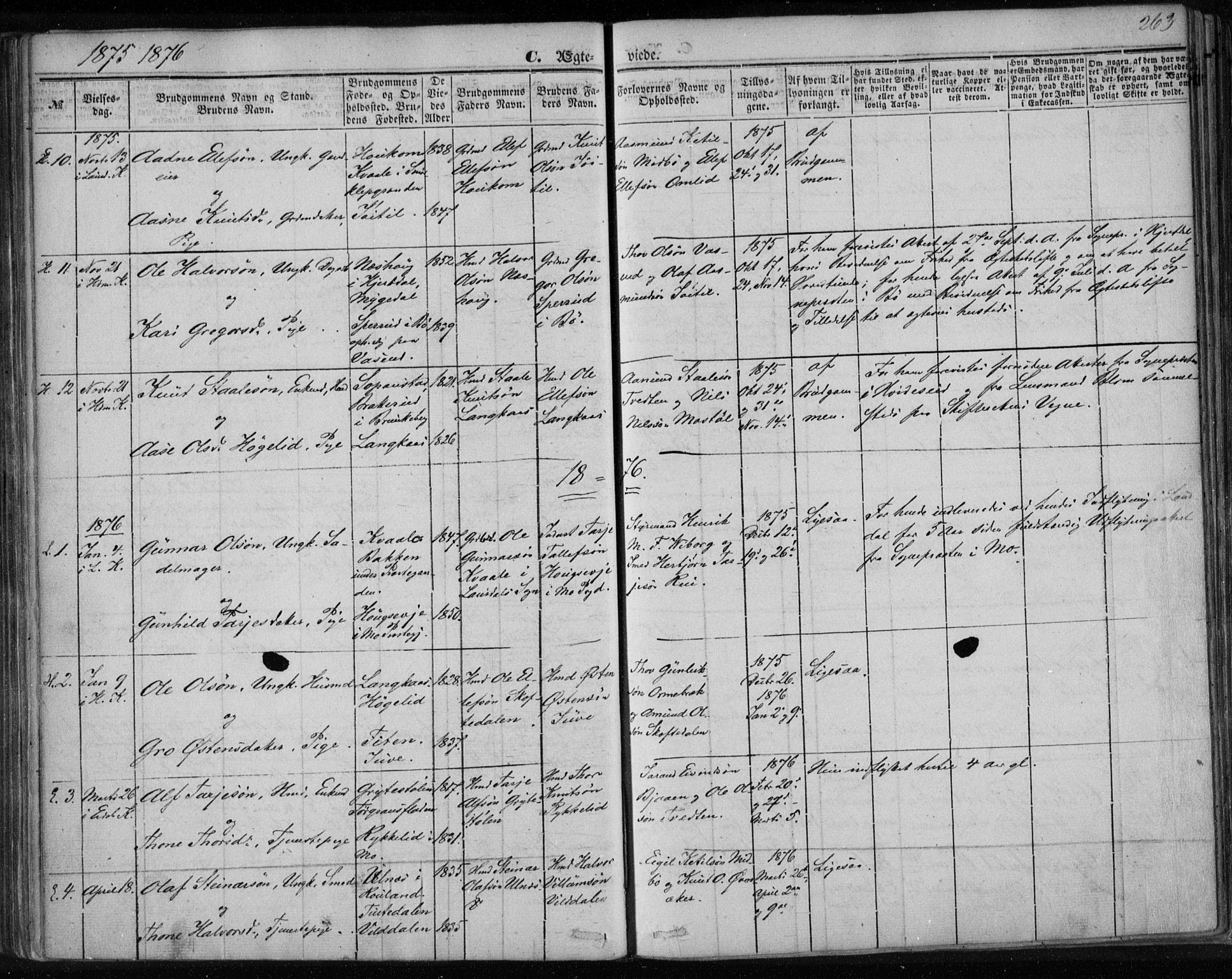 Lårdal kirkebøker, SAKO/A-284/F/Fa/L0006: Parish register (official) no. I 6, 1861-1886, p. 263