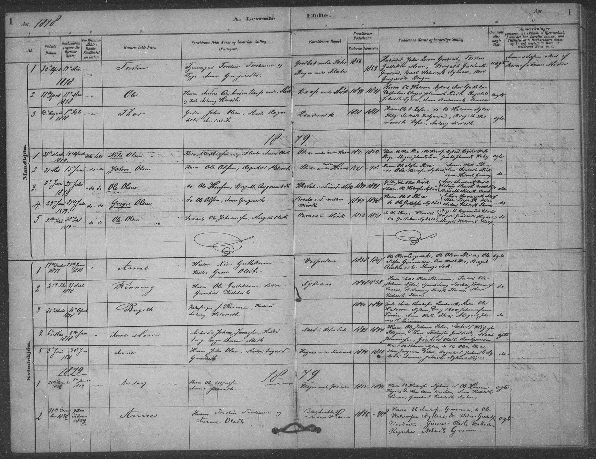 Heddal kirkebøker, AV/SAKO-A-268/F/Fb/L0002: Parish register (official) no. II 2, 1878-1913, p. 1