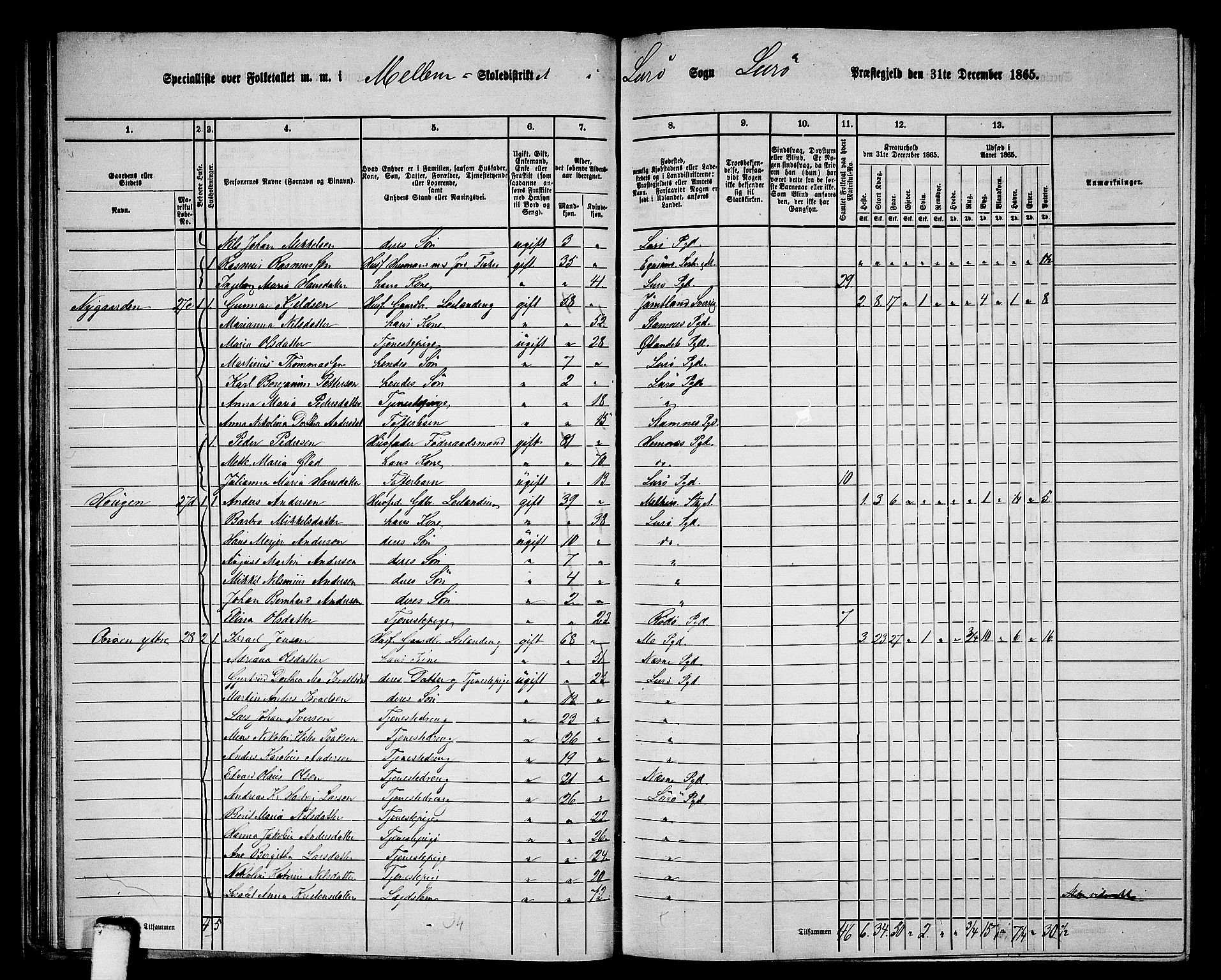 RA, 1865 census for Lurøy, 1865, p. 39