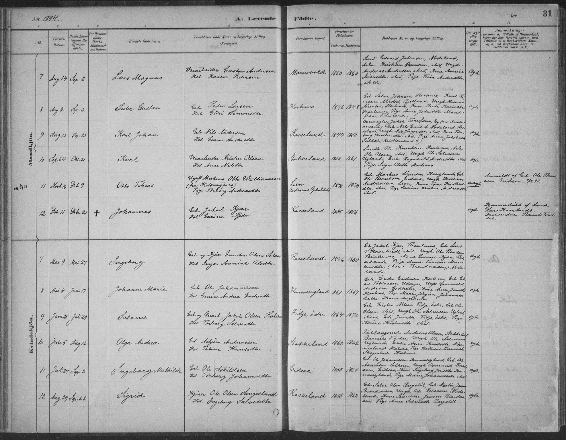 Søgne sokneprestkontor, AV/SAK-1111-0037/F/Fa/Faa/L0003: Parish register (official) no. A 3, 1883-1910, p. 31