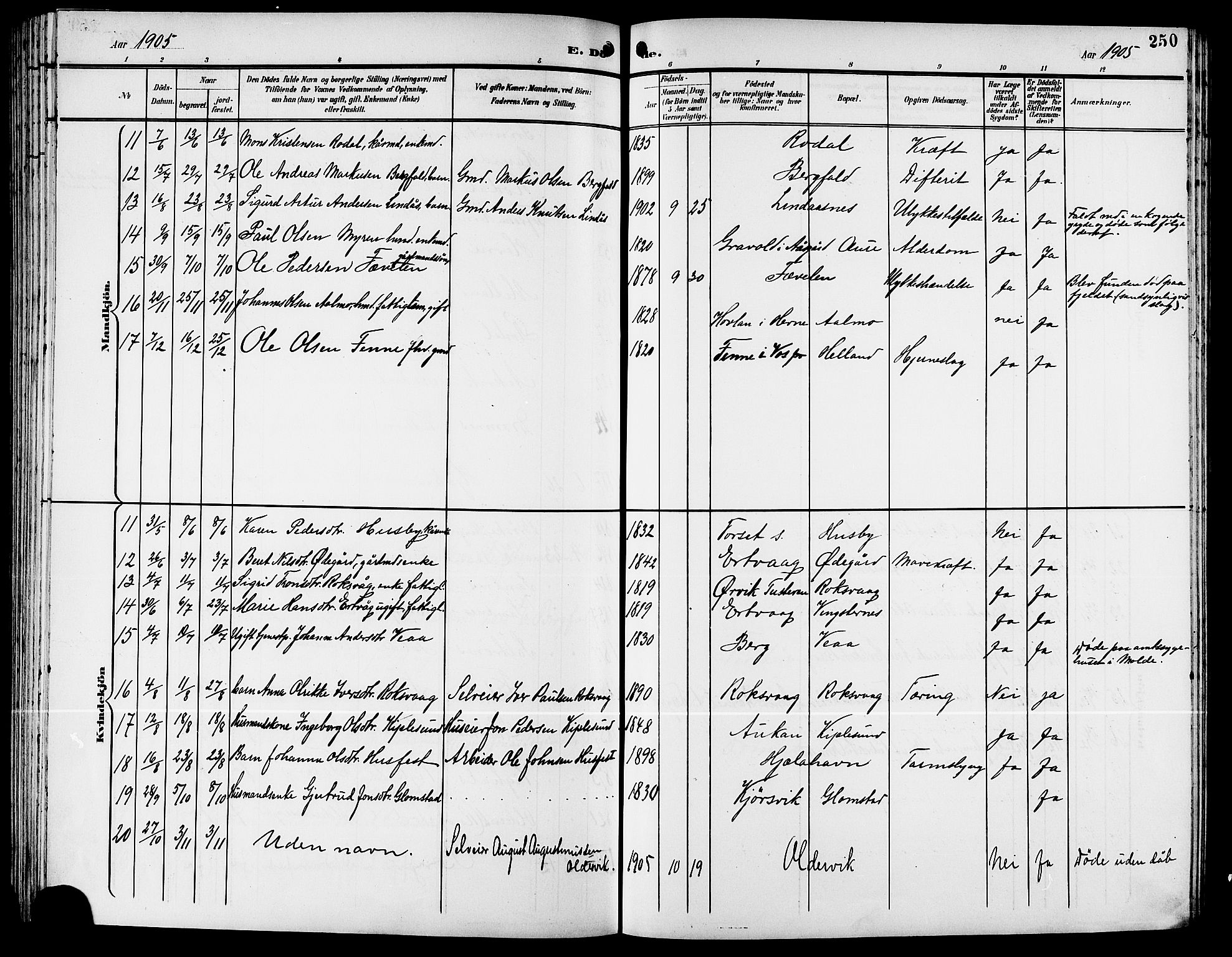 Ministerialprotokoller, klokkerbøker og fødselsregistre - Møre og Romsdal, AV/SAT-A-1454/578/L0910: Parish register (copy) no. 578C03, 1900-1921, p. 250