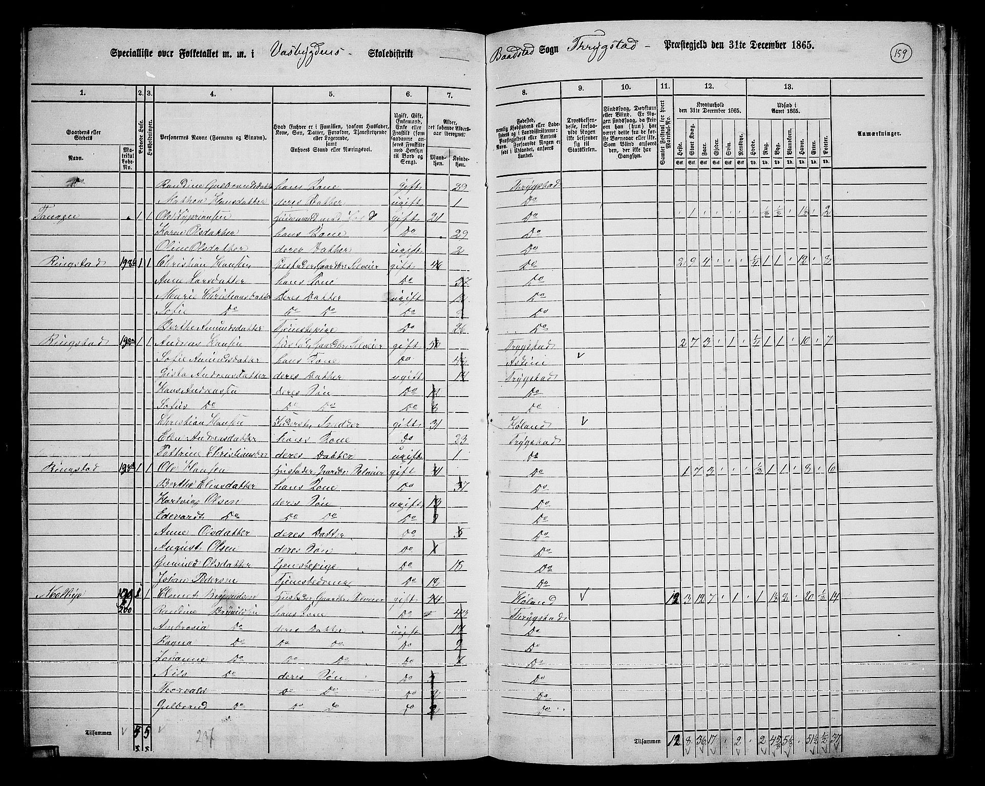 RA, 1865 census for Trøgstad, 1865, p. 139