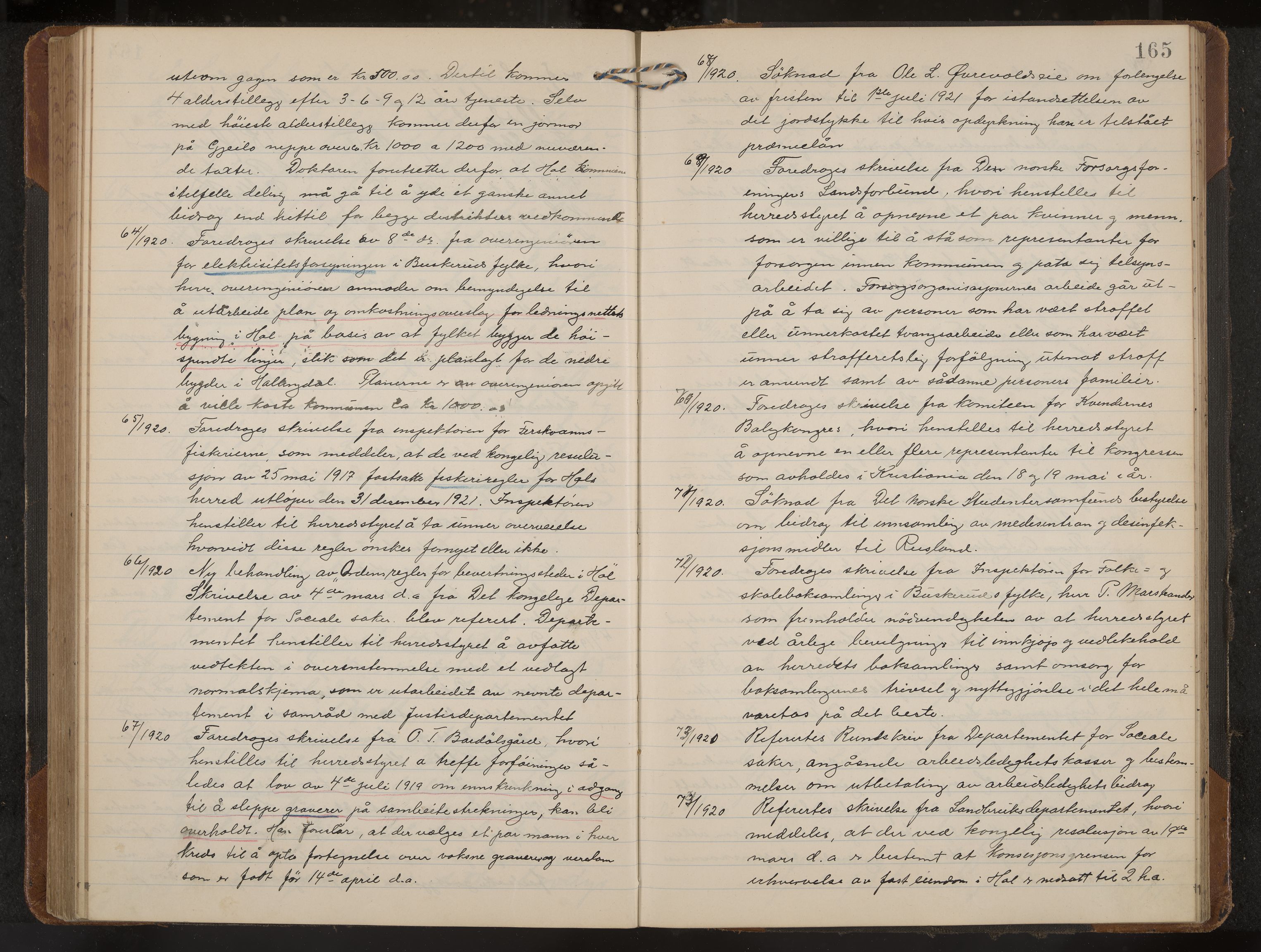 Hol formannskap og sentraladministrasjon, IKAK/0620021-1/A/L0006: Møtebok, 1916-1922, p. 165