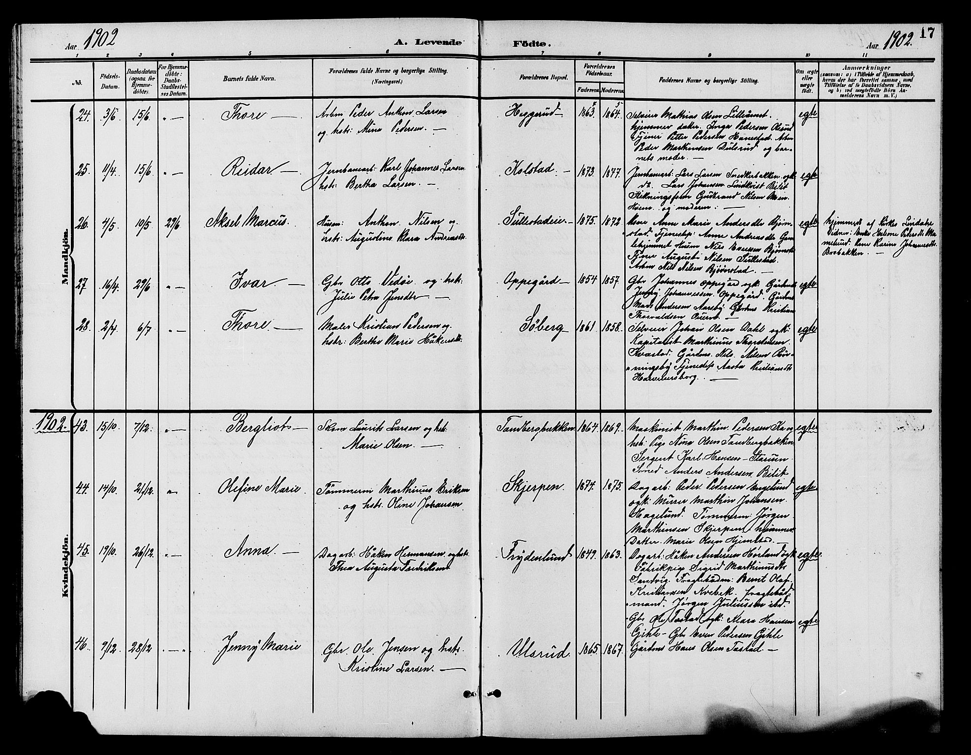 Østre Toten prestekontor, AV/SAH-PREST-104/H/Ha/Hab/L0007: Parish register (copy) no. 7, 1901-1912, p. 17