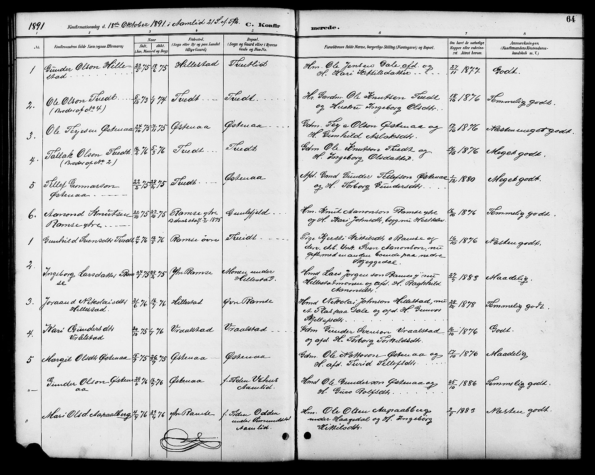 Åmli sokneprestkontor, SAK/1111-0050/F/Fb/Fbb/L0002: Parish register (copy) no. B 2, 1890-1905, p. 64