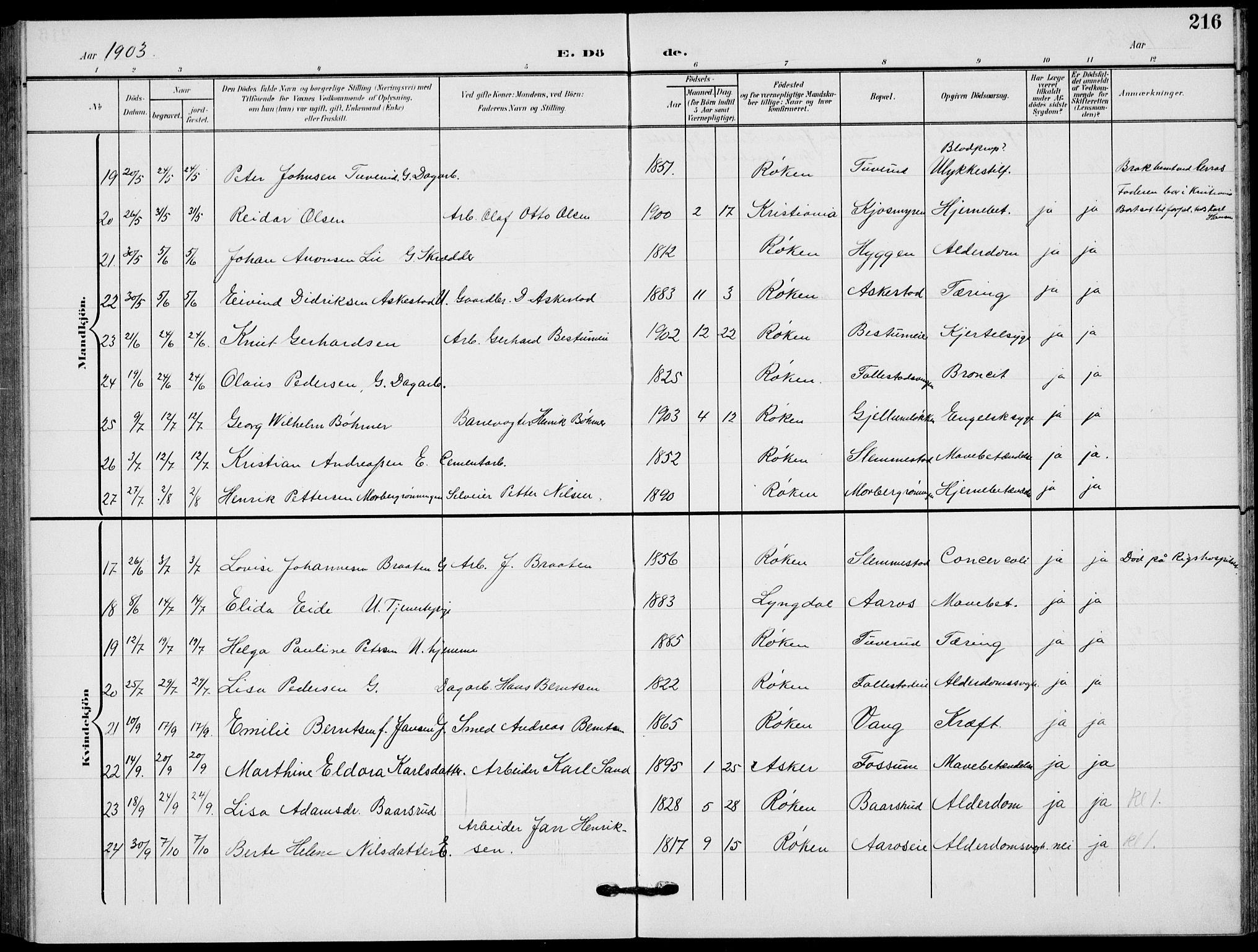 Røyken kirkebøker, SAKO/A-241/G/Ga/L0005: Parish register (copy) no. 5, 1903-1918, p. 216