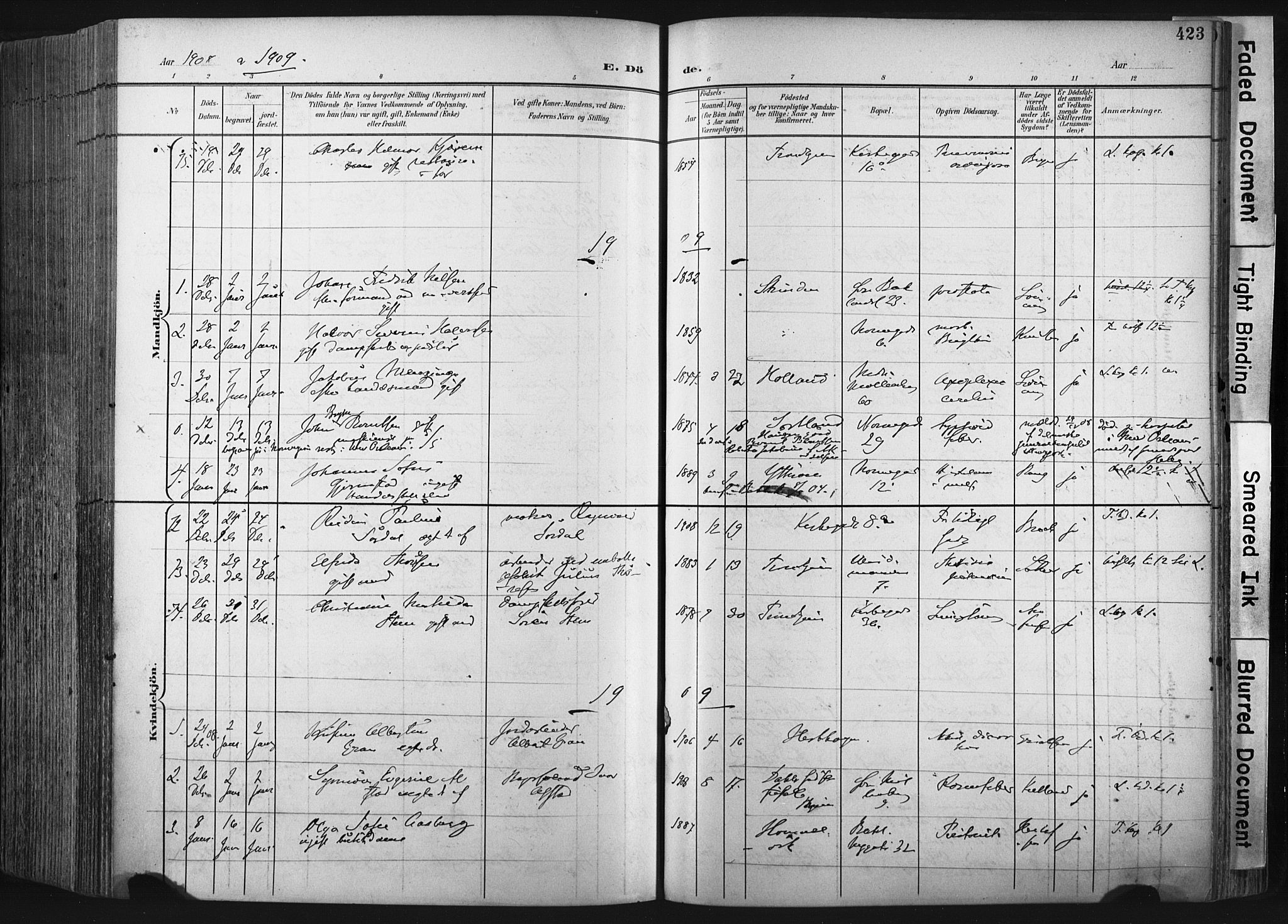 Ministerialprotokoller, klokkerbøker og fødselsregistre - Sør-Trøndelag, SAT/A-1456/604/L0201: Parish register (official) no. 604A21, 1901-1911, p. 423