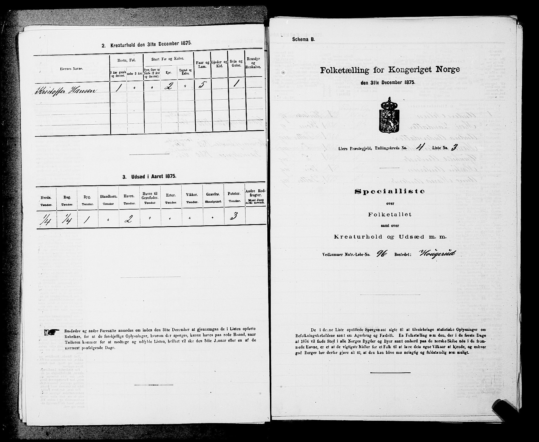 SAKO, 1875 census for 0626P Lier, 1875, p. 702