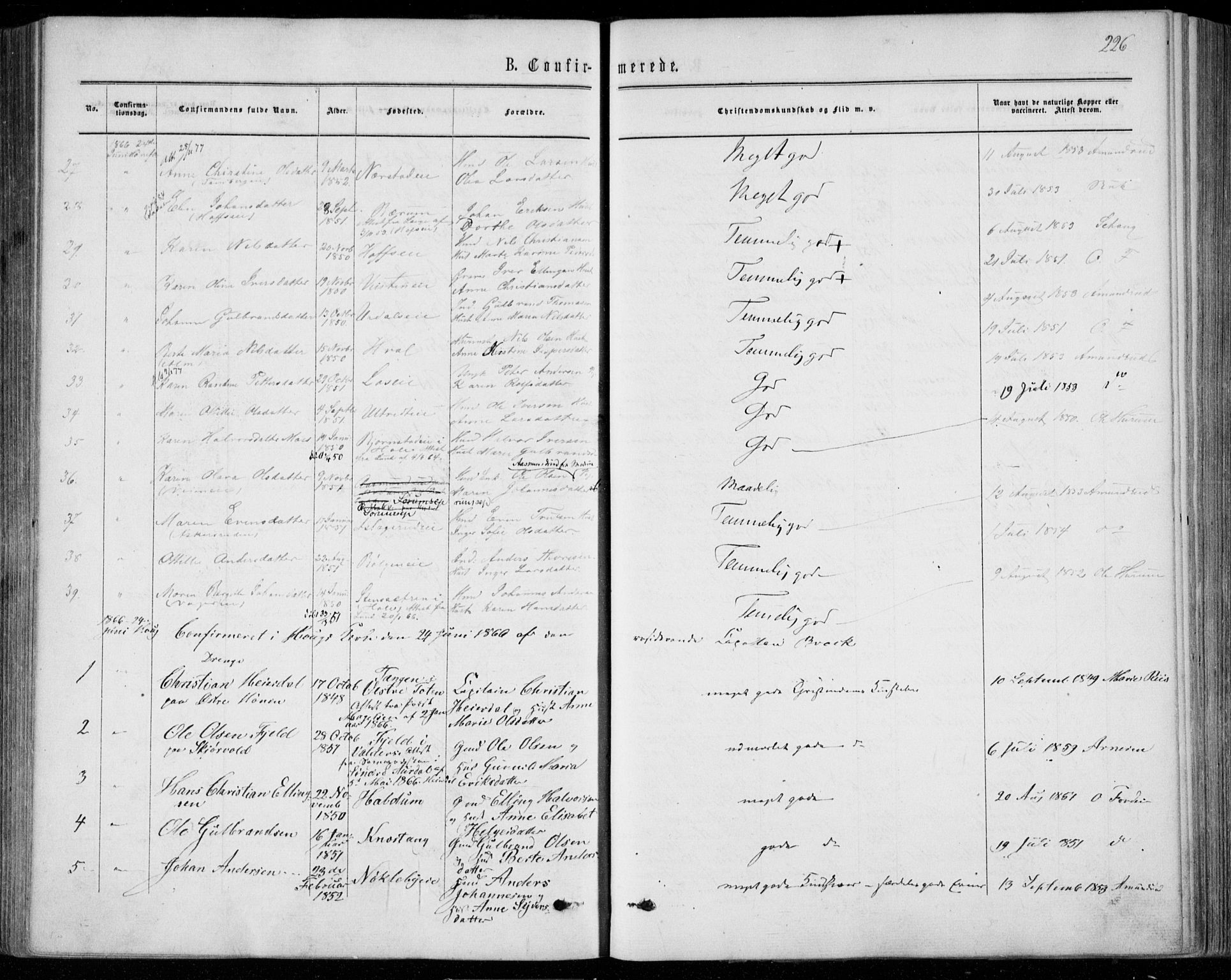 Norderhov kirkebøker, AV/SAKO-A-237/F/Fa/L0013: Parish register (official) no. 13, 1866-1874, p. 226