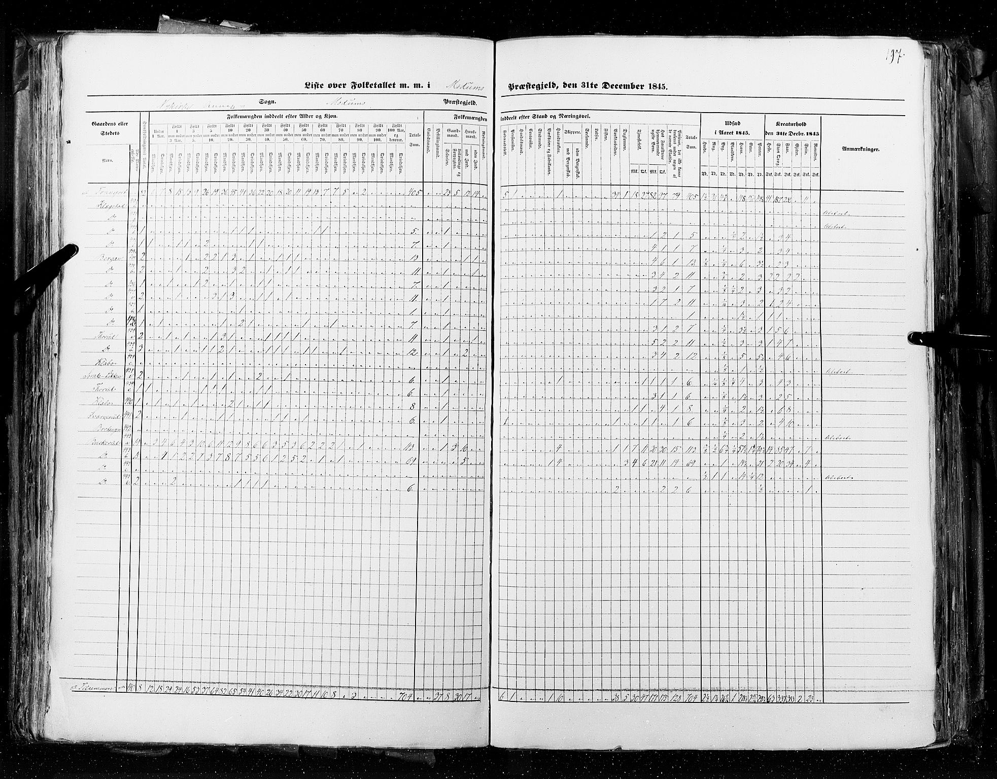 RA, Census 1845, vol. 4: Buskerud amt og Jarlsberg og Larvik amt, 1845, p. 197