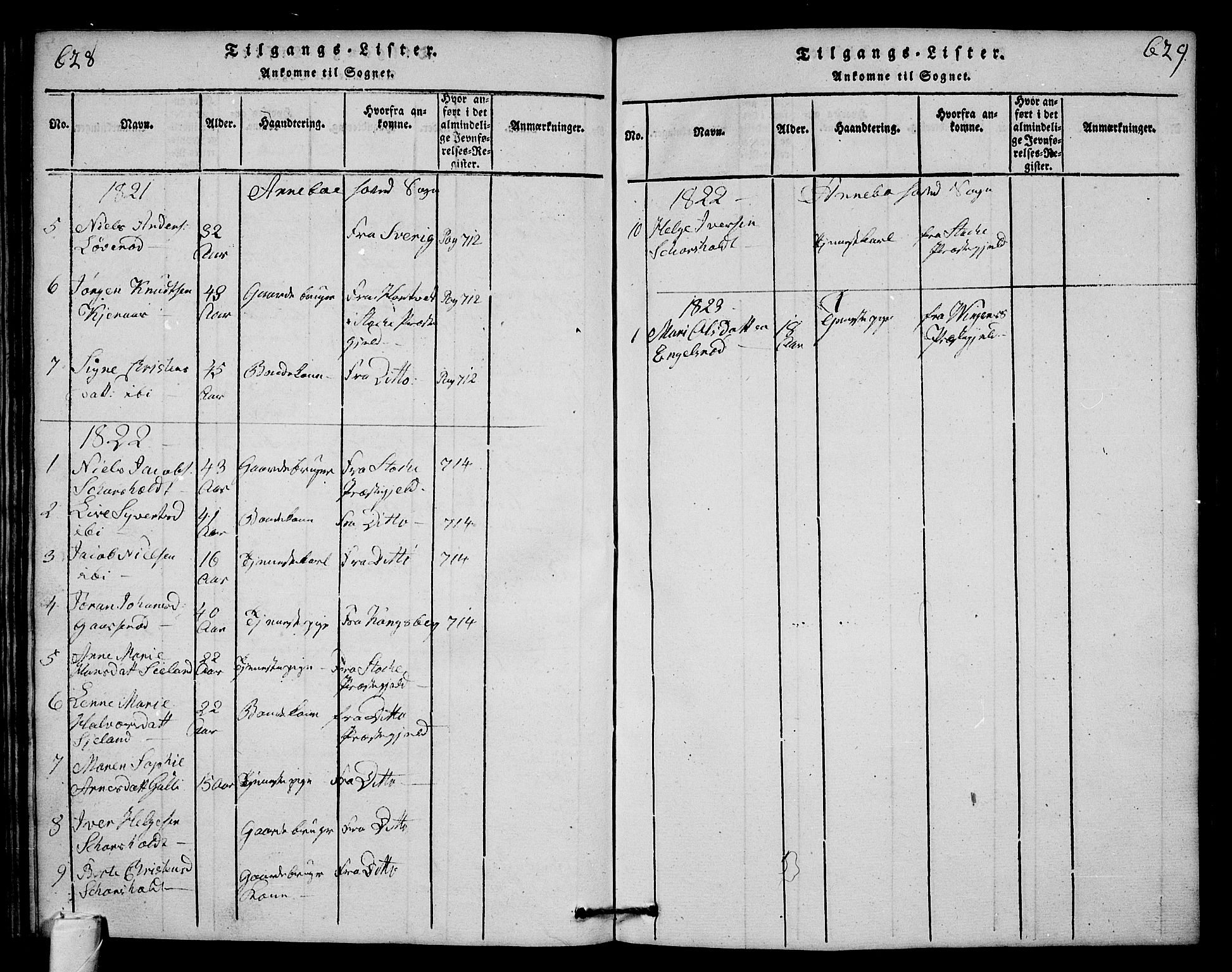 Andebu kirkebøker, AV/SAKO-A-336/G/Ga/L0001: Parish register (copy) no. I 1 /1, 1815-1823, p. 628-629