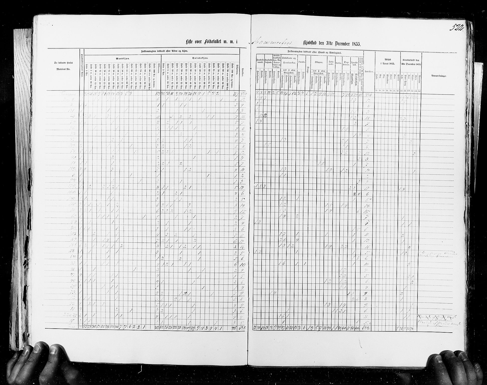 RA, Census 1855, vol. 8: Risør-Vadsø, 1855, p. 522