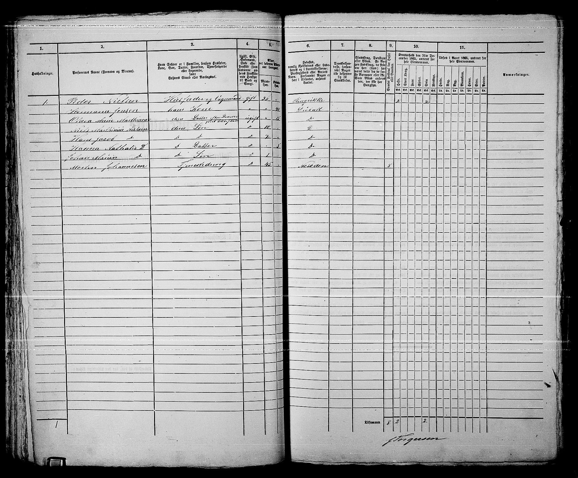 RA, 1865 census for Drøbak/Drøbak, 1865, p. 167