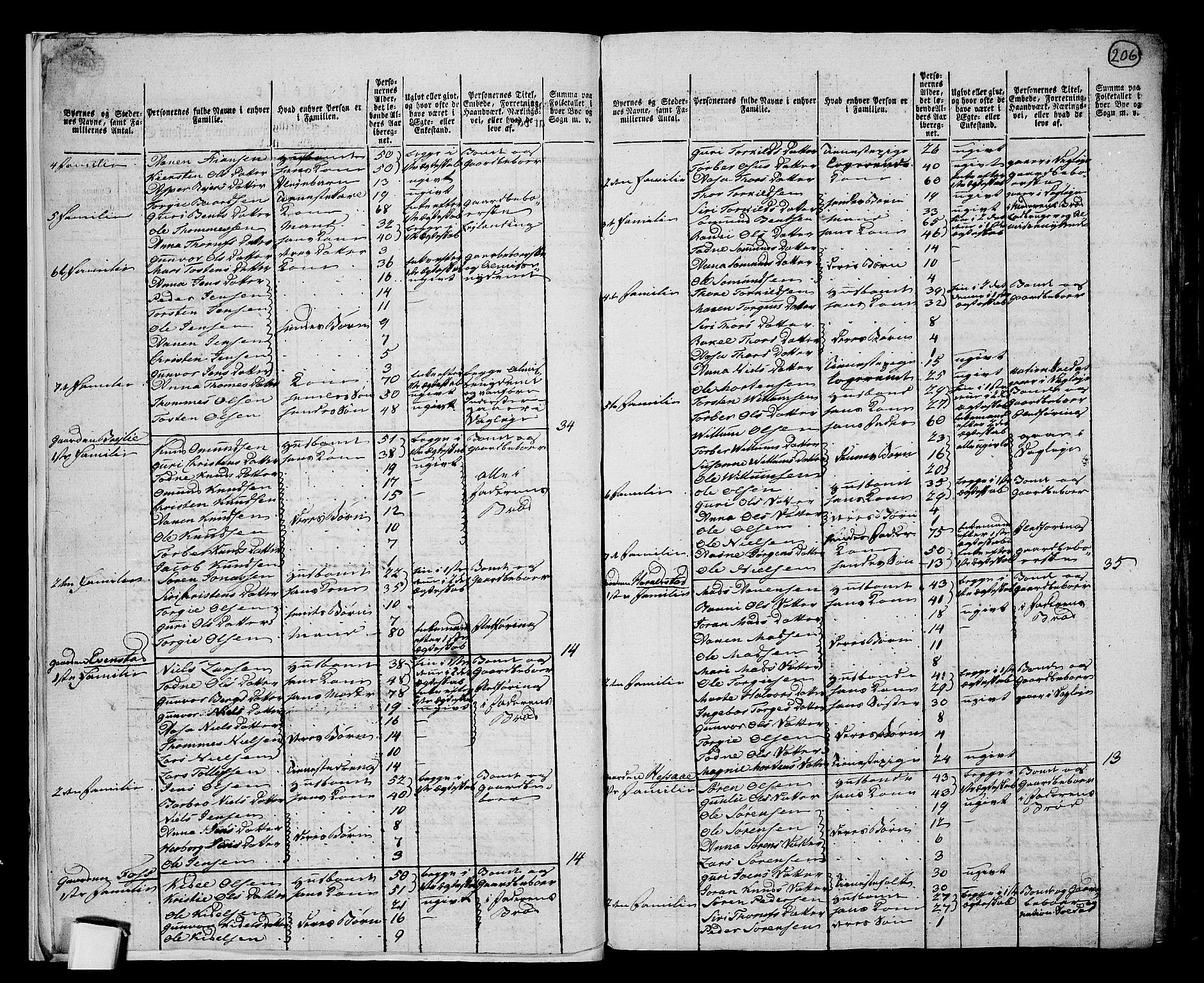 RA, 1801 census for 1024P Bjelland, 1801, p. 205b-206a