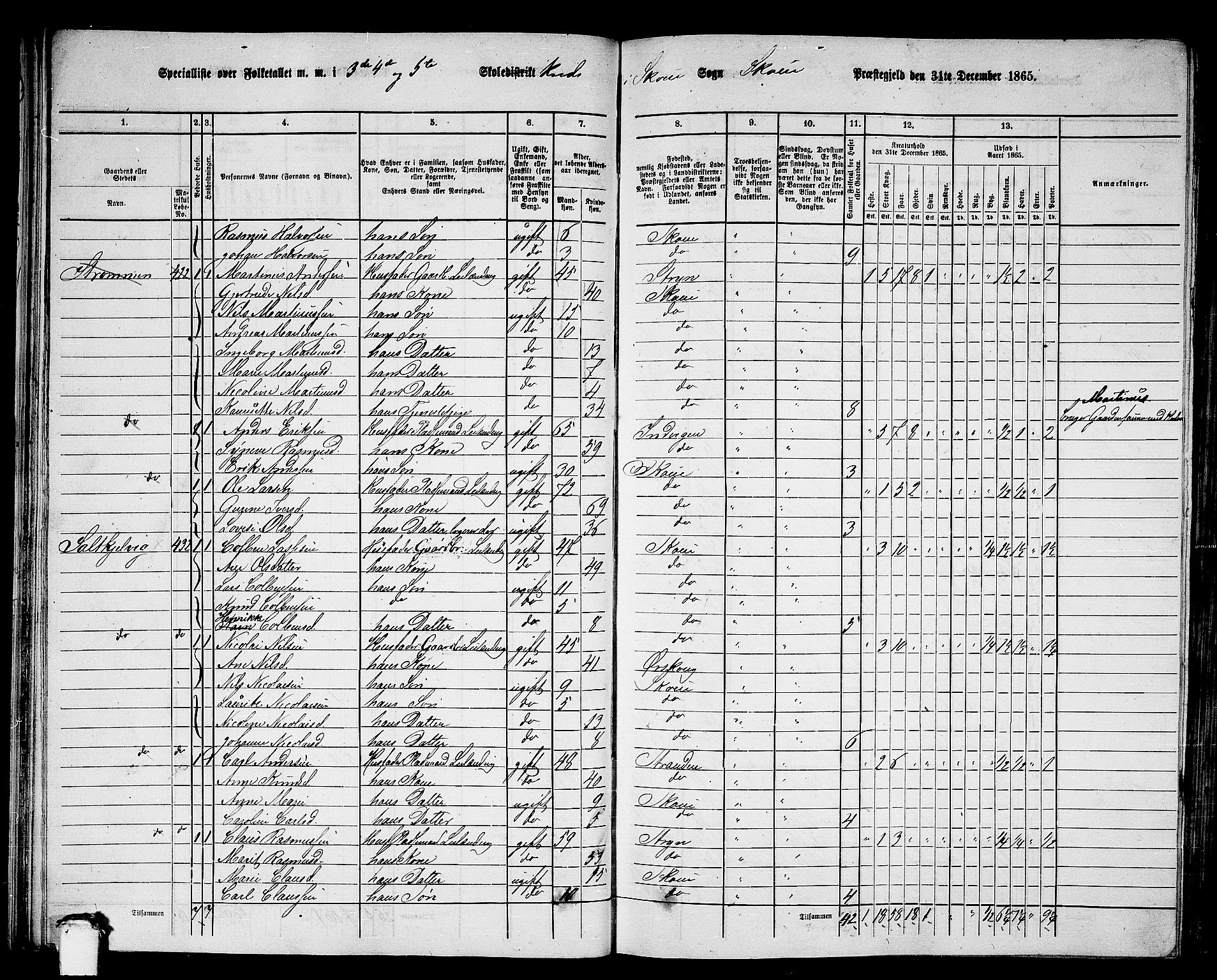 RA, 1865 census for Skodje, 1865, p. 40