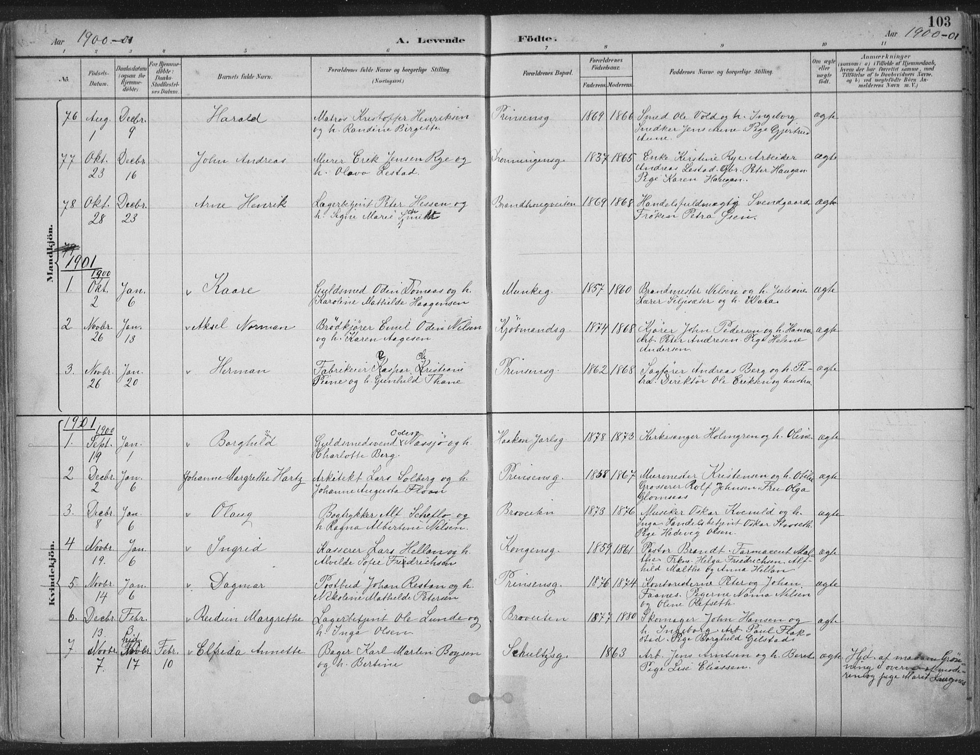 Ministerialprotokoller, klokkerbøker og fødselsregistre - Sør-Trøndelag, SAT/A-1456/601/L0062: Parish register (official) no. 601A30, 1891-1911, p. 103